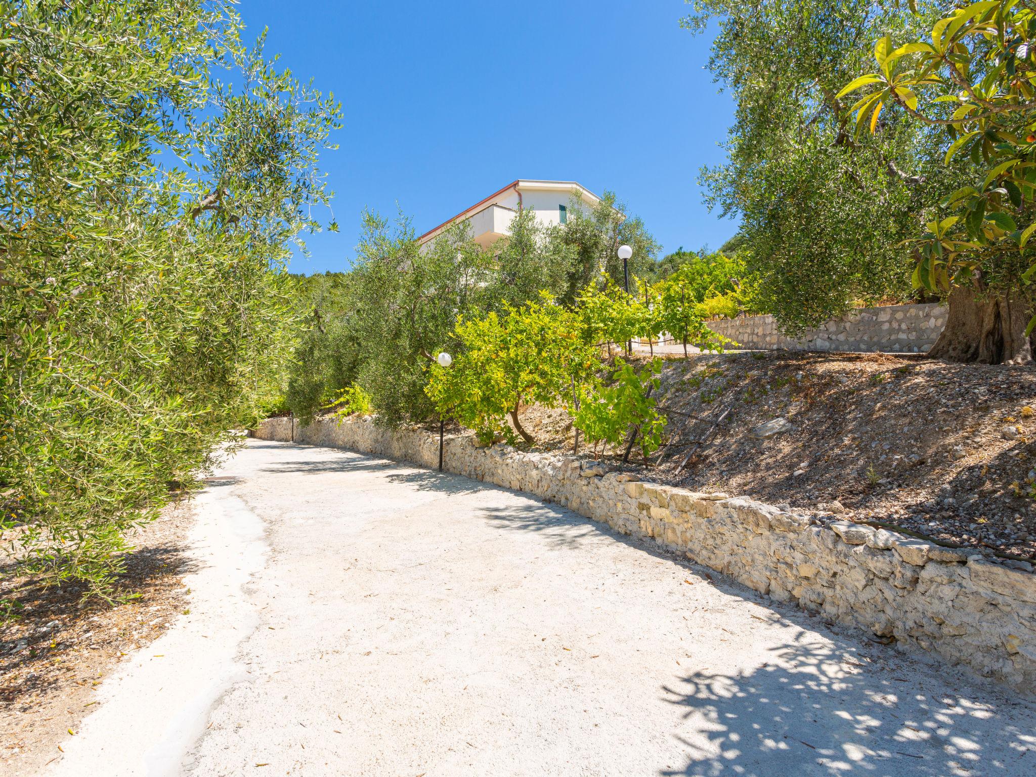 Foto 17 - Appartamento con 1 camera da letto a Peschici con giardino e vista mare