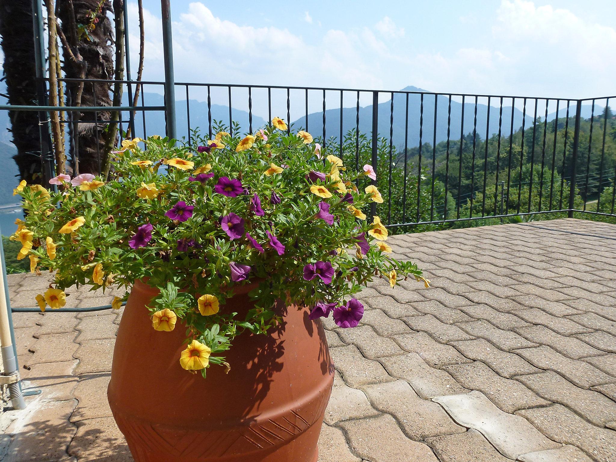 Foto 6 - Appartamento con 1 camera da letto a Lugano con giardino e vista sulle montagne