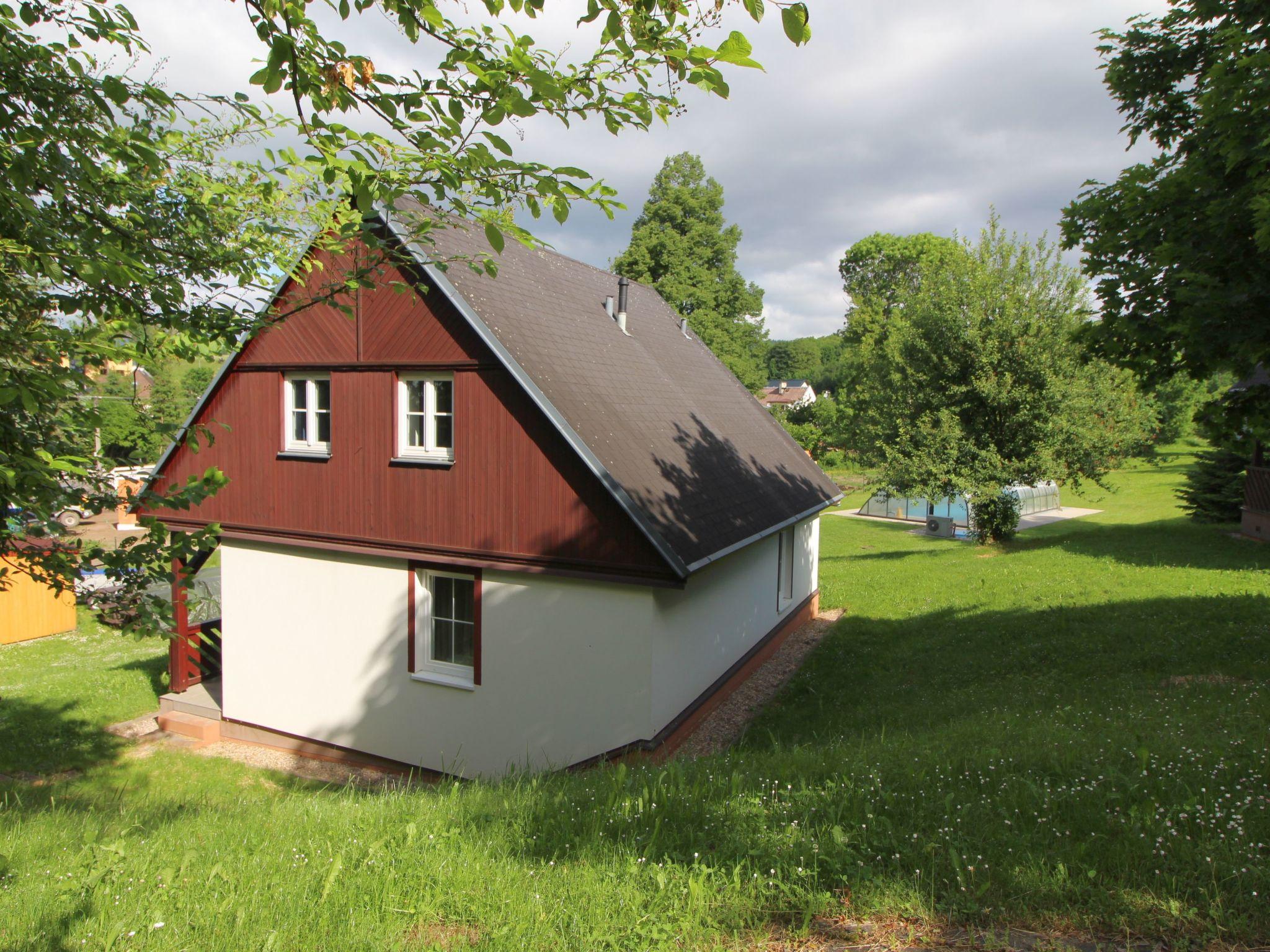 Foto 24 - Casa con 3 camere da letto a Černý Důl con piscina e giardino