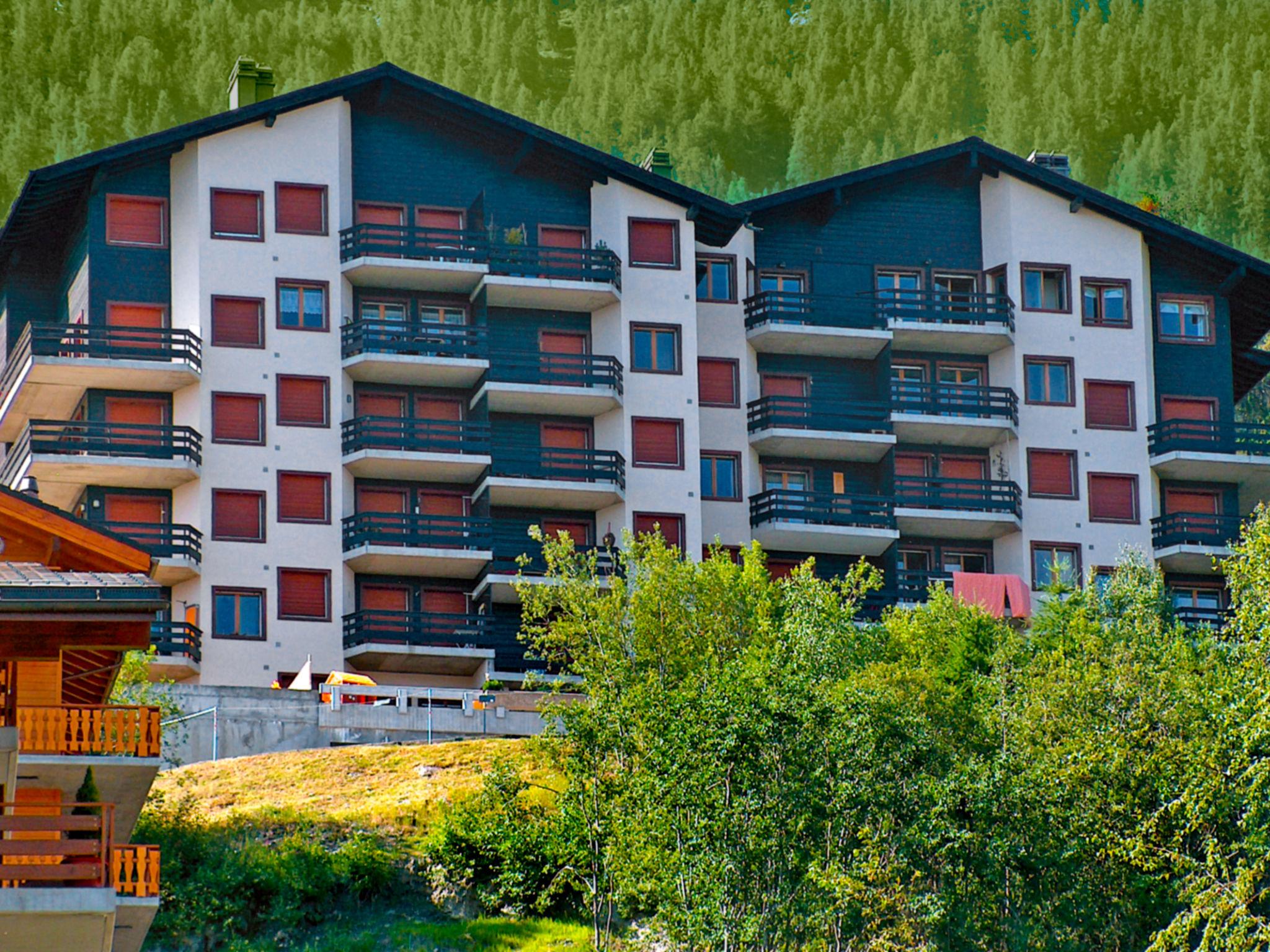 Photo 17 - 1 bedroom Apartment in Nendaz with mountain view