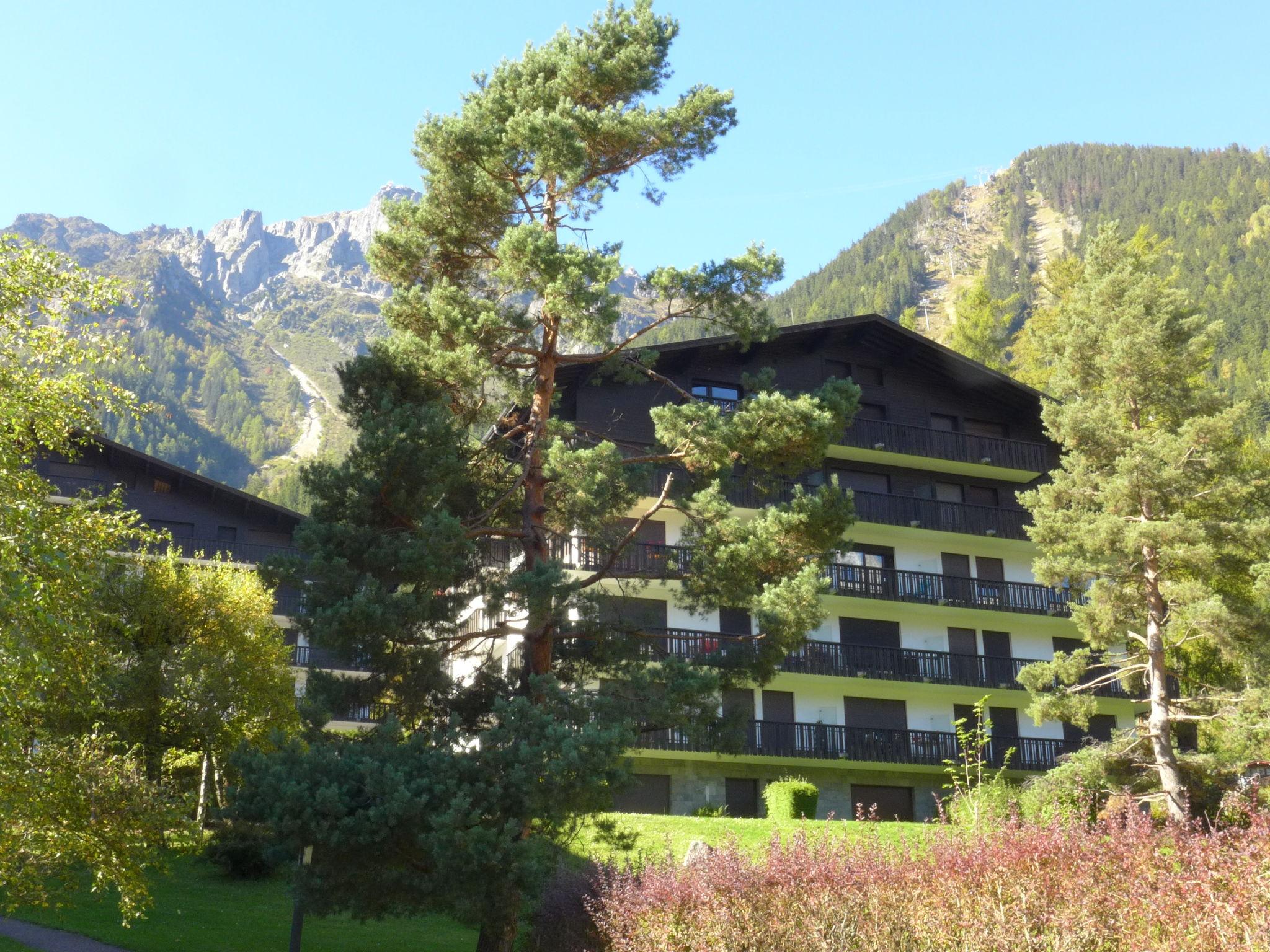 Foto 19 - Apartment mit 1 Schlafzimmer in Chamonix-Mont-Blanc mit blick auf die berge