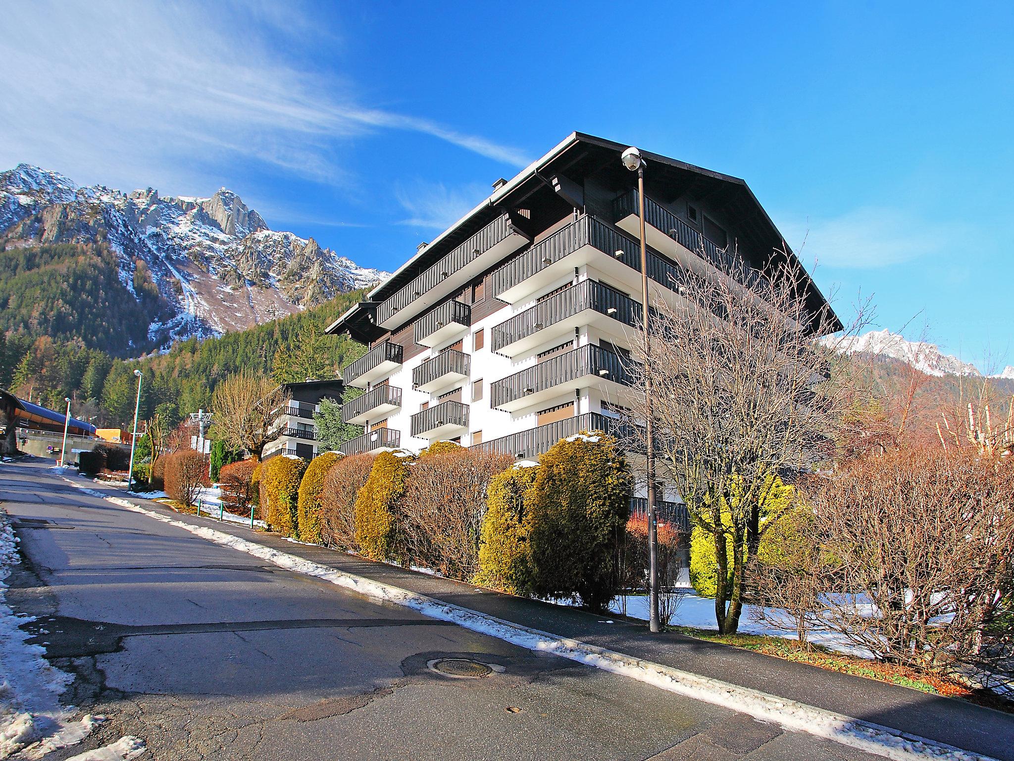 Foto 15 - Appartamento con 2 camere da letto a Chamonix-Mont-Blanc con giardino e vista sulle montagne