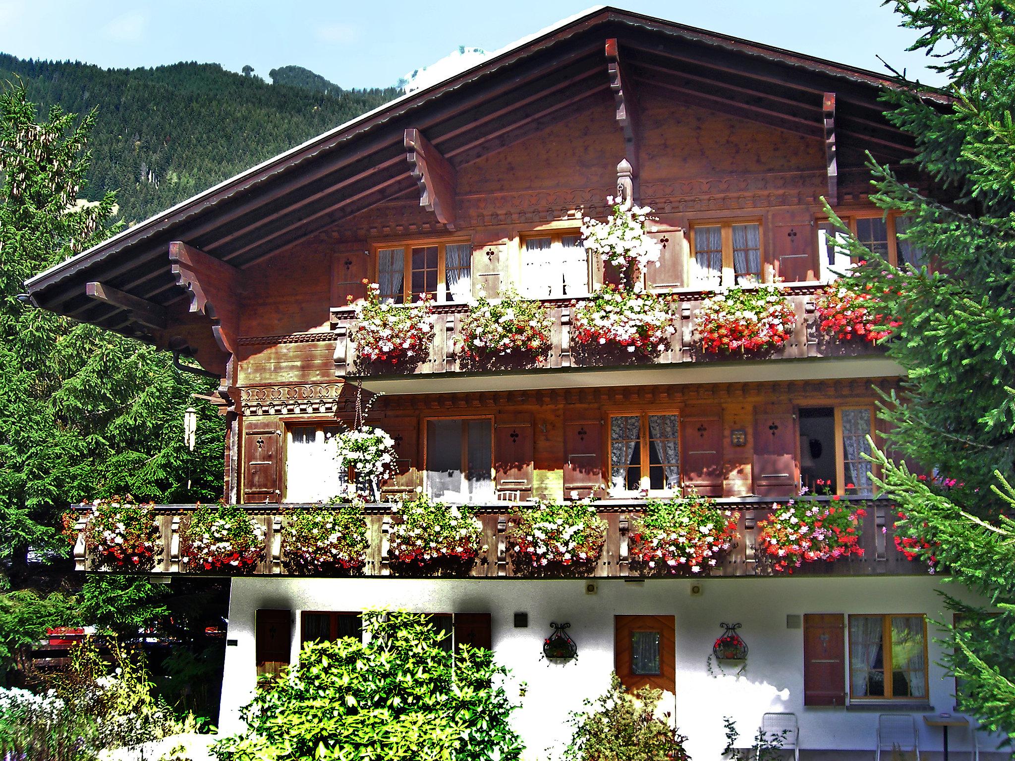 Foto 1 - Apartamento em Grindelwald com jardim e vista para a montanha