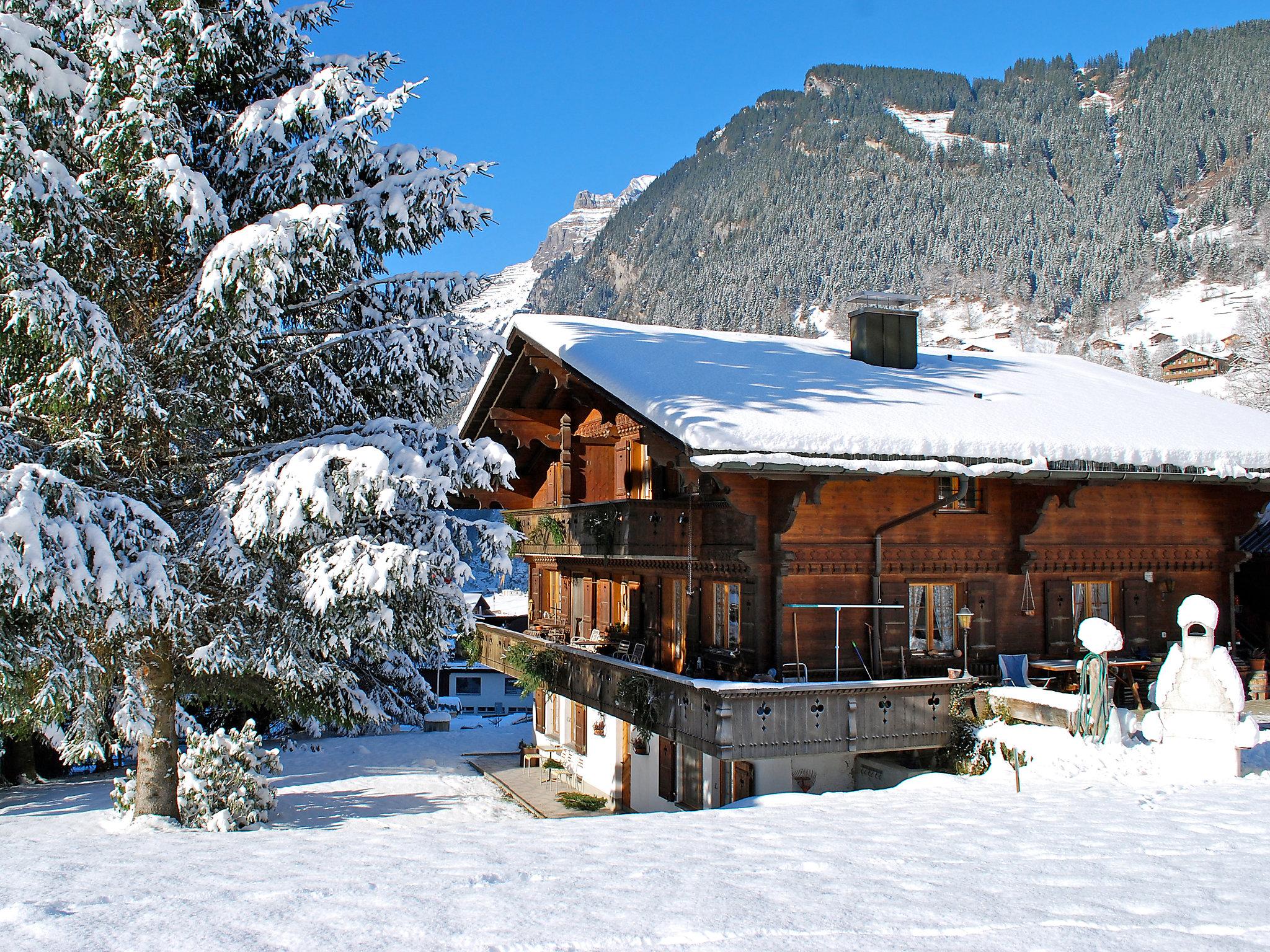 Foto 14 - Appartamento con 1 camera da letto a Grindelwald con giardino e vista sulle montagne