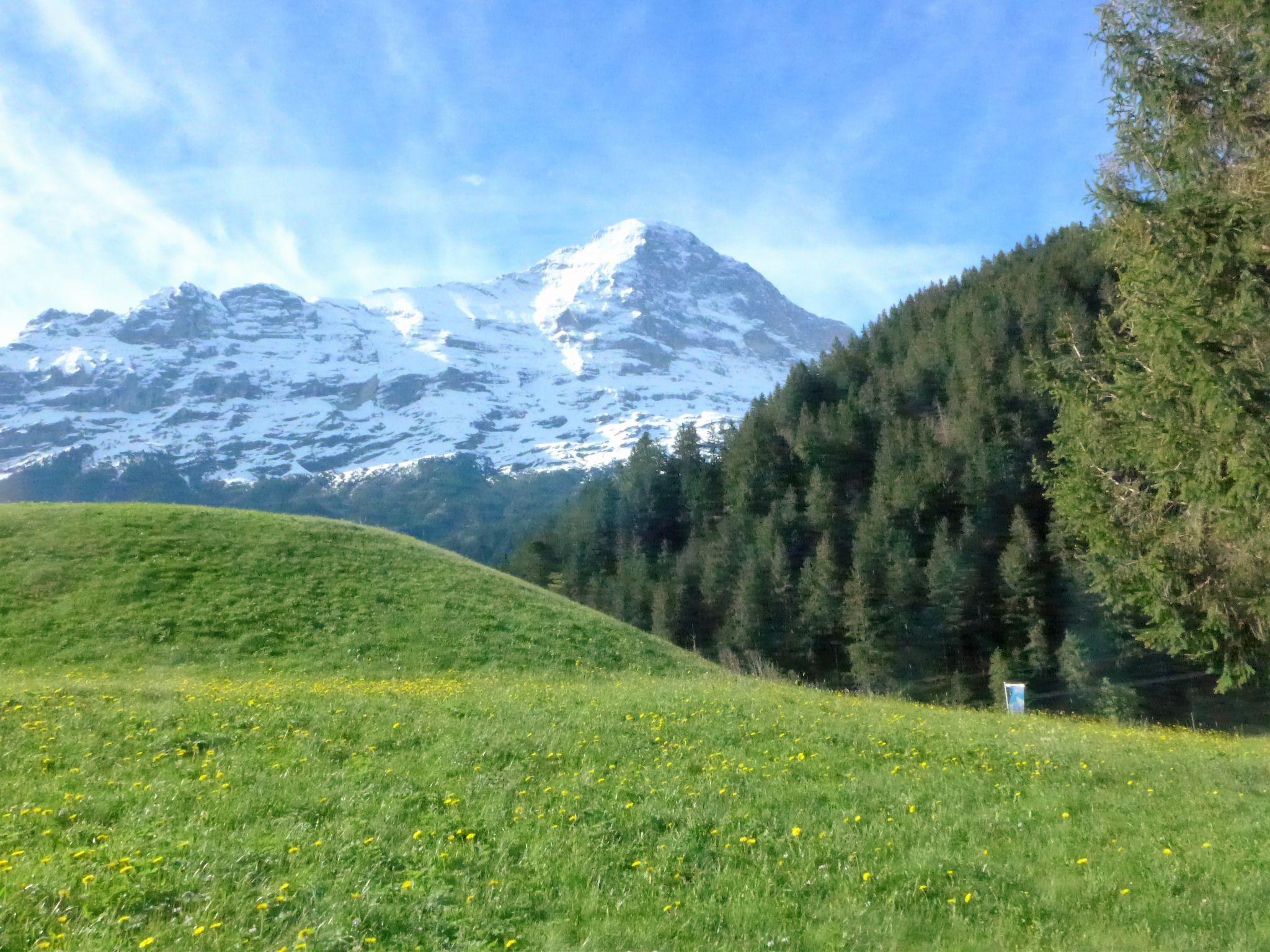 Foto 13 - Apartamento em Grindelwald com jardim e vista para a montanha