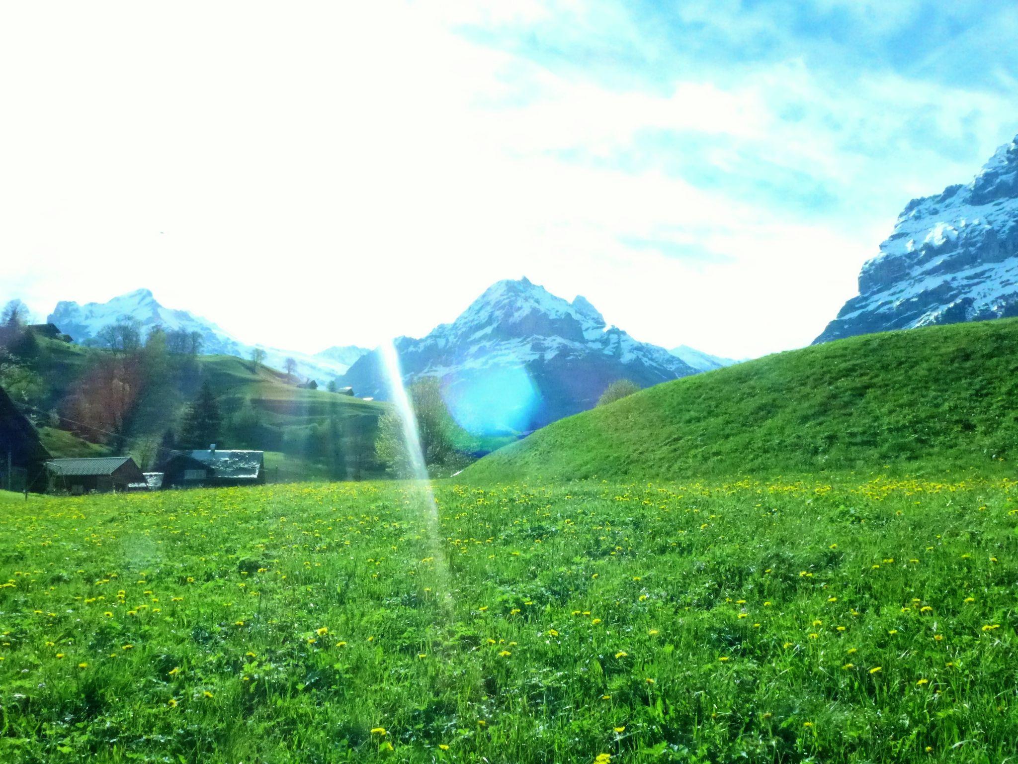 Foto 11 - Apartamento em Grindelwald com jardim e vista para a montanha