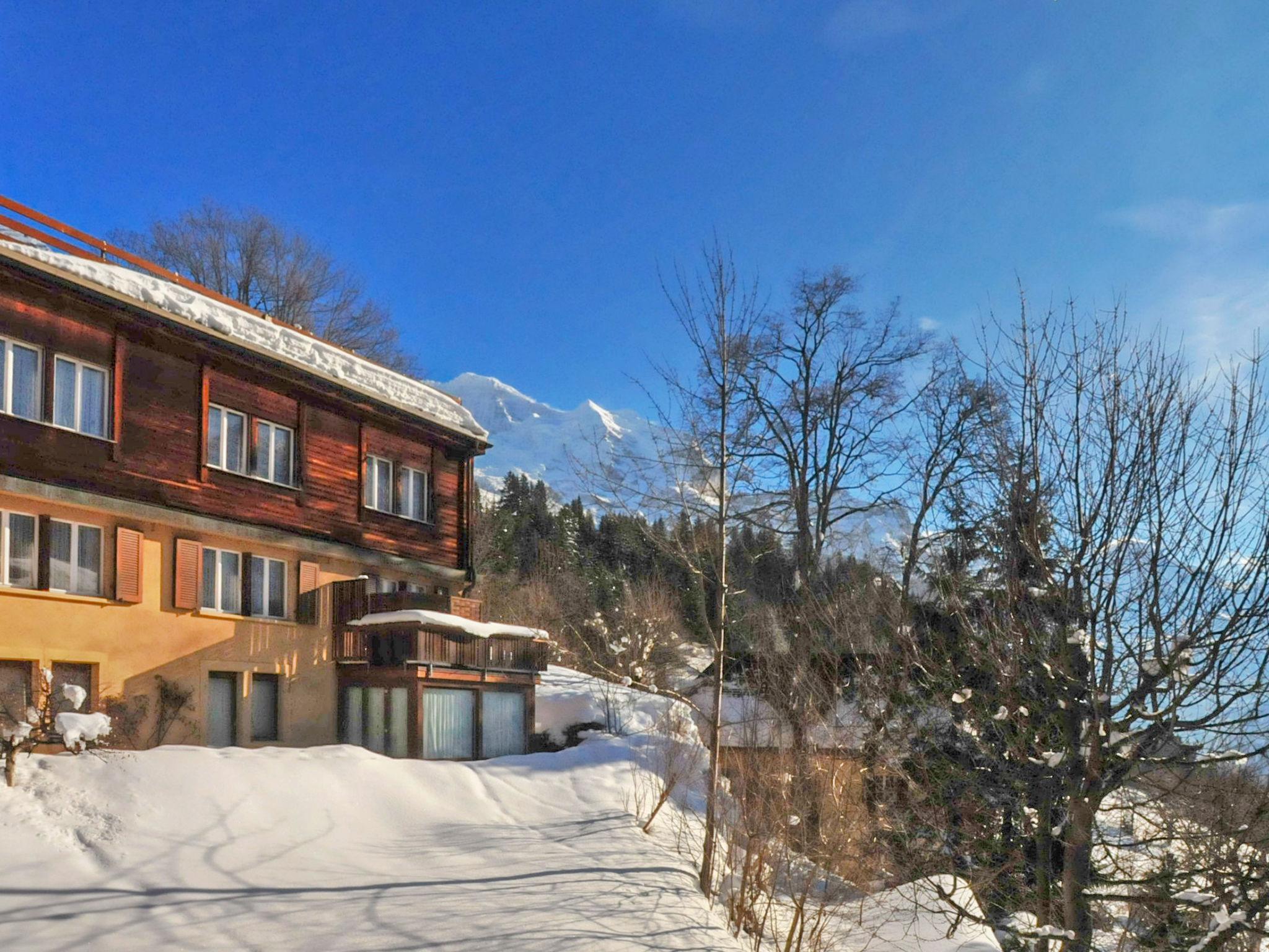 Photo 17 - Appartement de 2 chambres à Lauterbrunnen avec vues sur la montagne