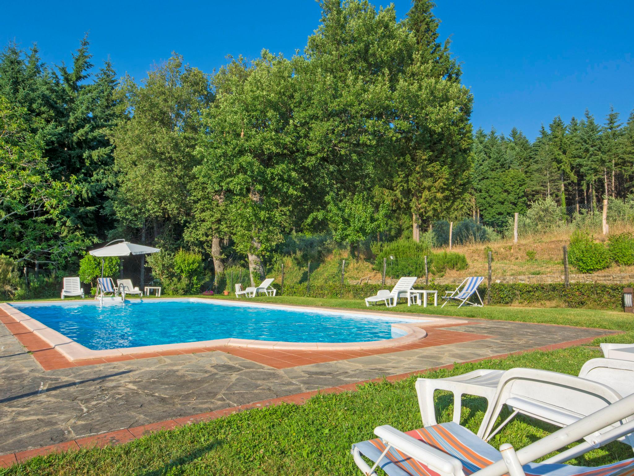 Photo 7 - 1 bedroom Apartment in Pelago with swimming pool and garden
