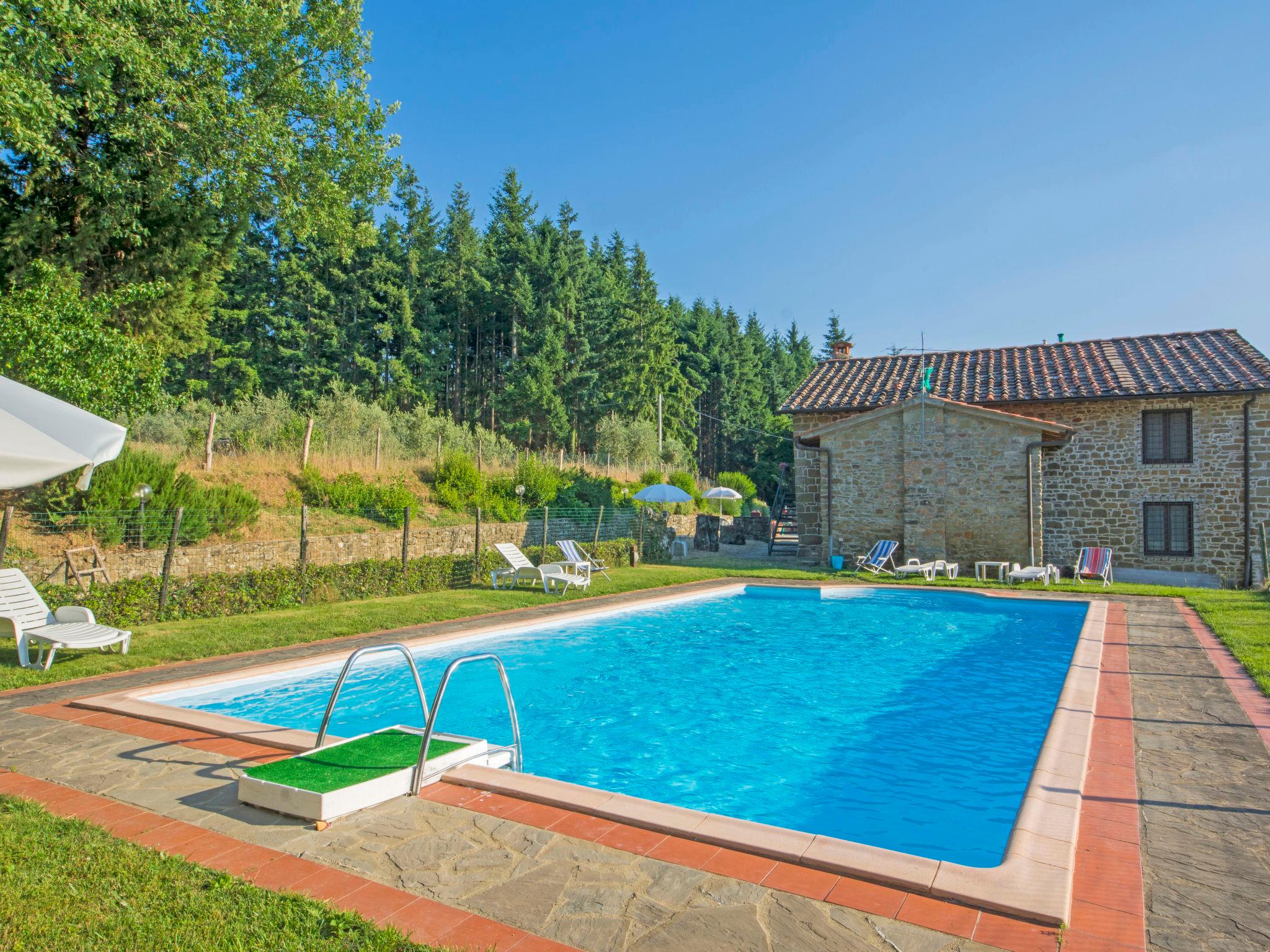 Foto 1 - Apartamento de 2 habitaciones en Pelago con piscina y jardín