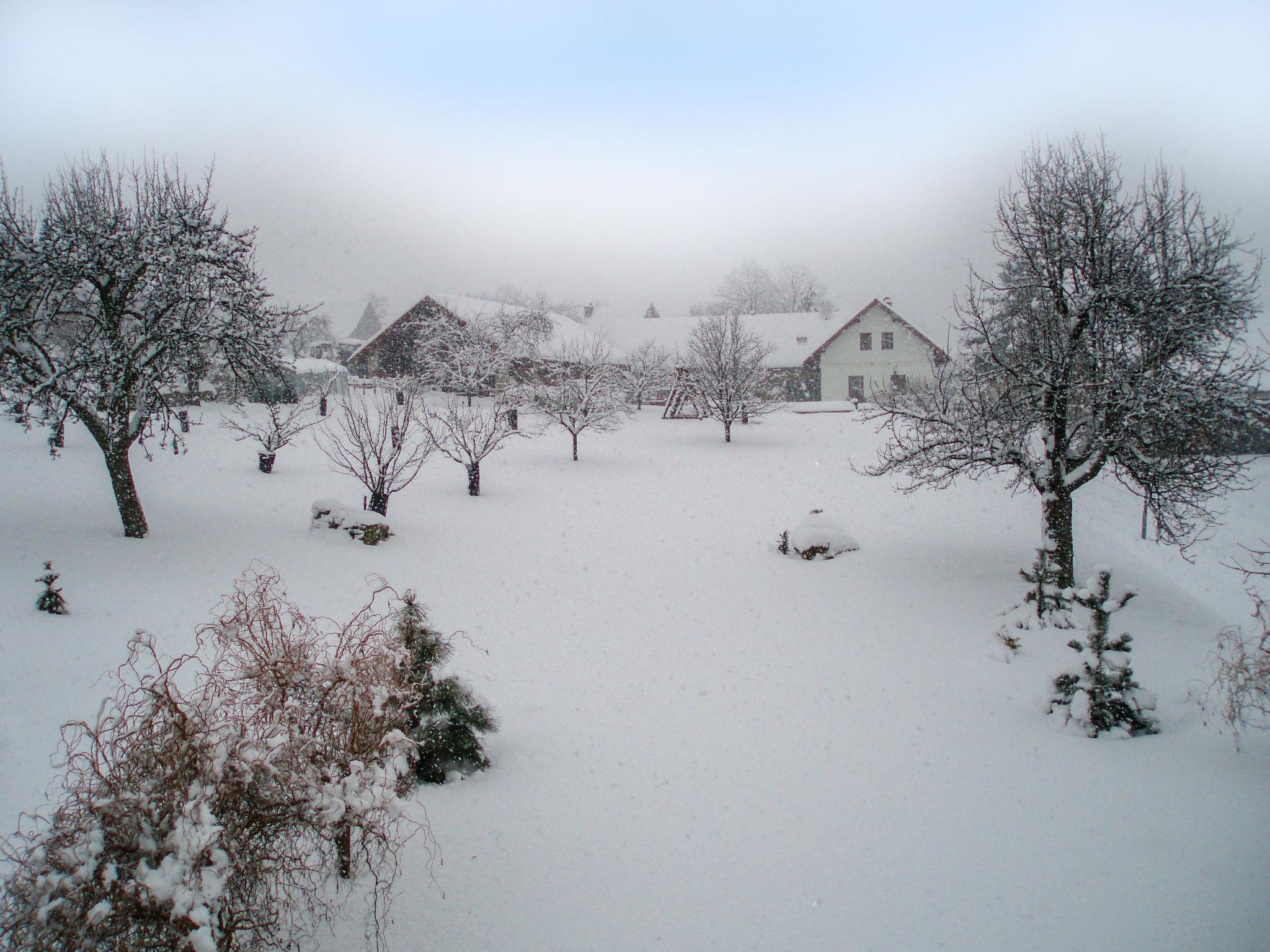 Photo 32 - 4 bedroom House in Úhlejov with private pool and mountain view