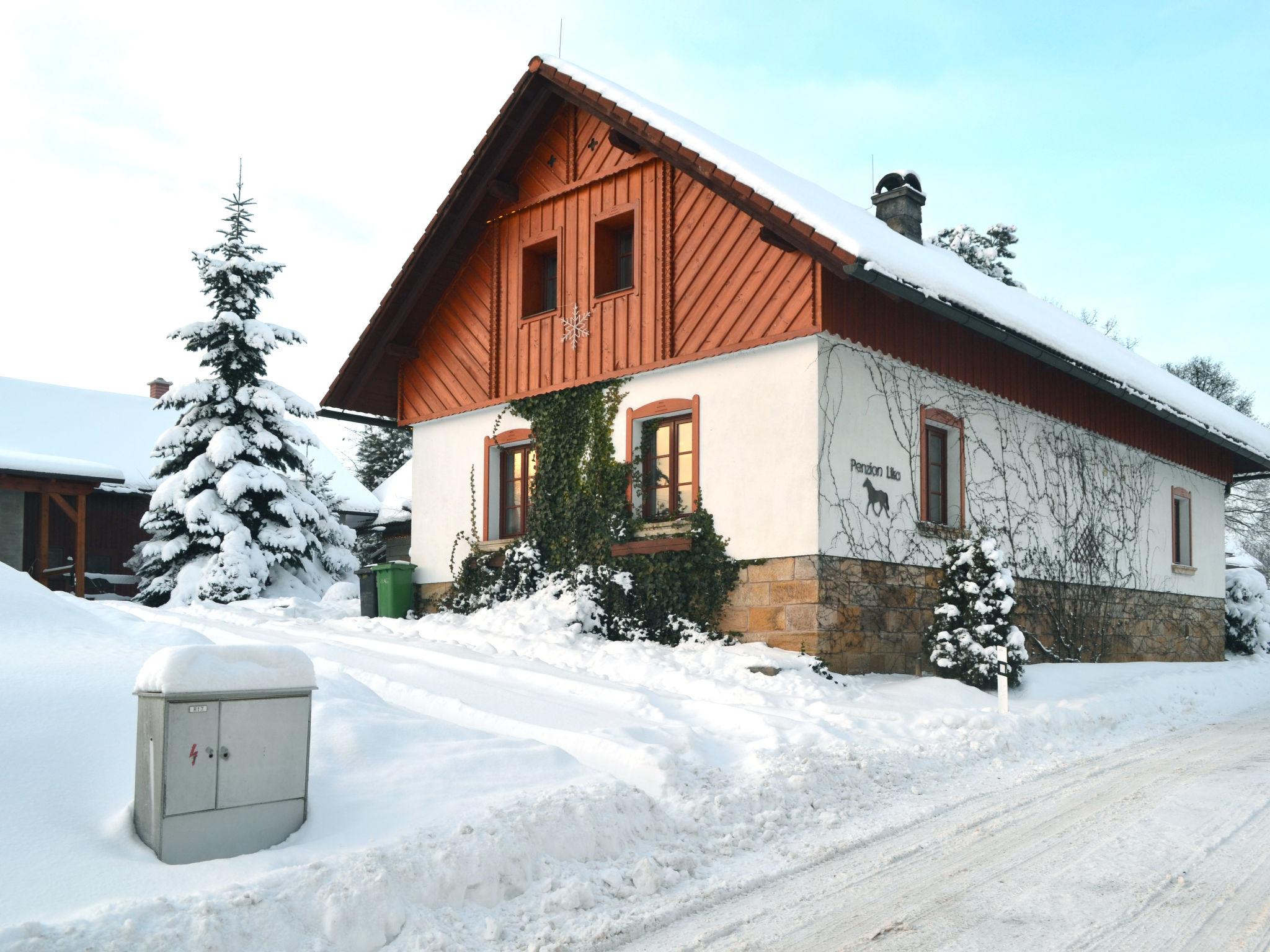 Foto 31 - Casa de 4 habitaciones en Úhlejov con piscina privada y vistas a la montaña