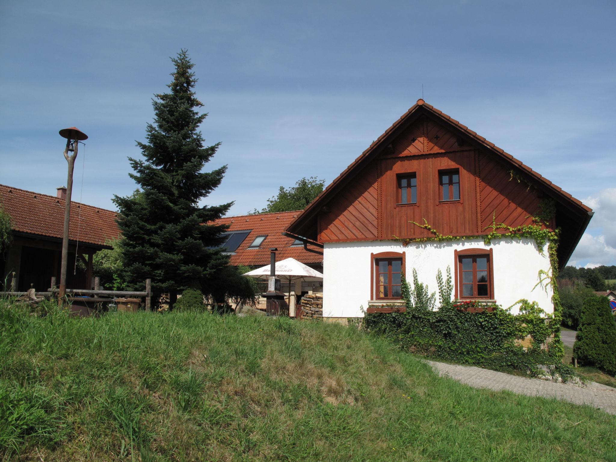Foto 27 - Casa con 4 camere da letto a Úhlejov con piscina privata e vista sulle montagne