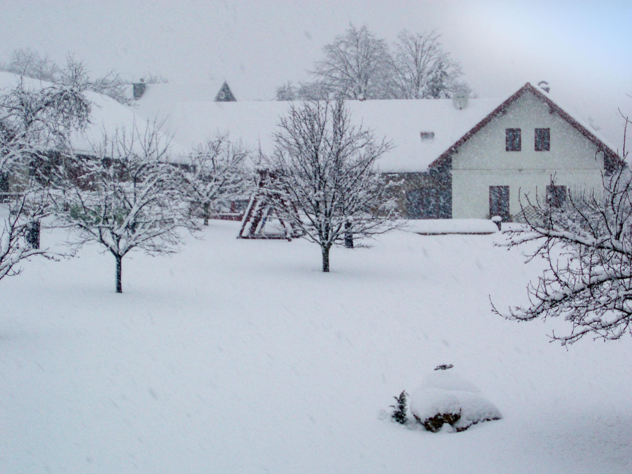 Photo 33 - Maison de 4 chambres à Úhlejov avec piscine privée et vues sur la montagne