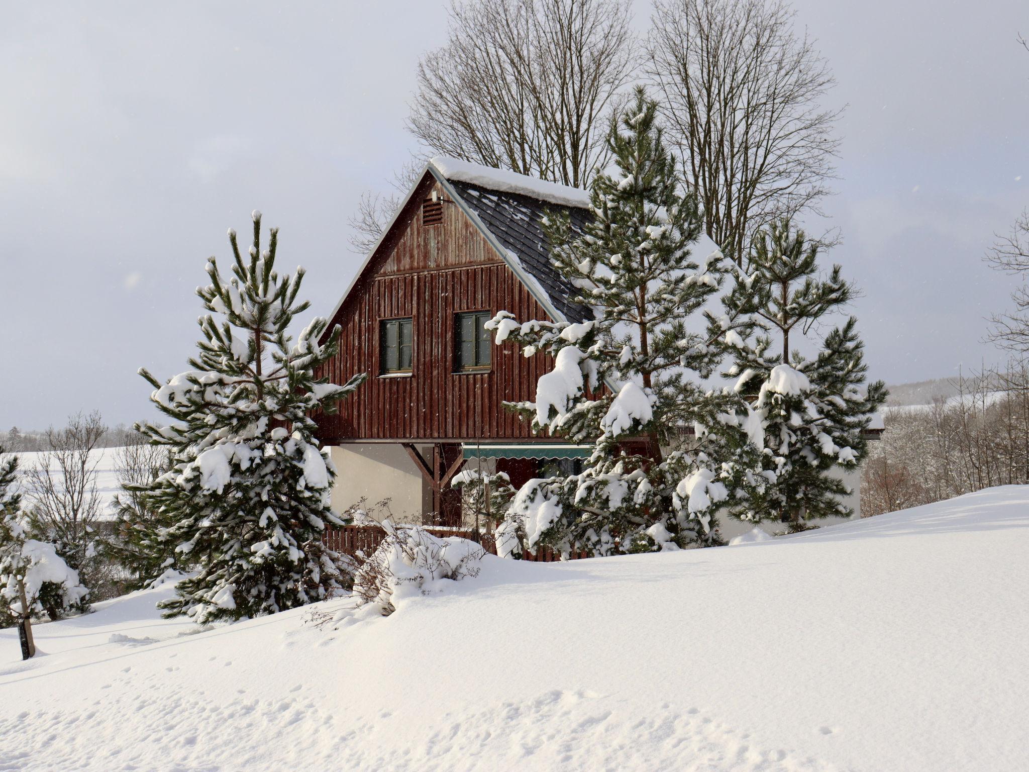 Foto 47 - Casa con 3 camere da letto a Černý Důl con piscina e vista sulle montagne