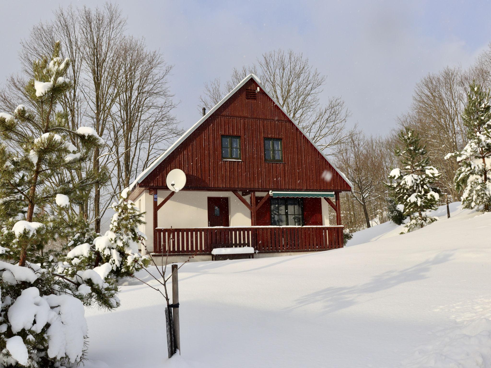 Foto 46 - Haus mit 3 Schlafzimmern in Černý Důl mit schwimmbad und garten