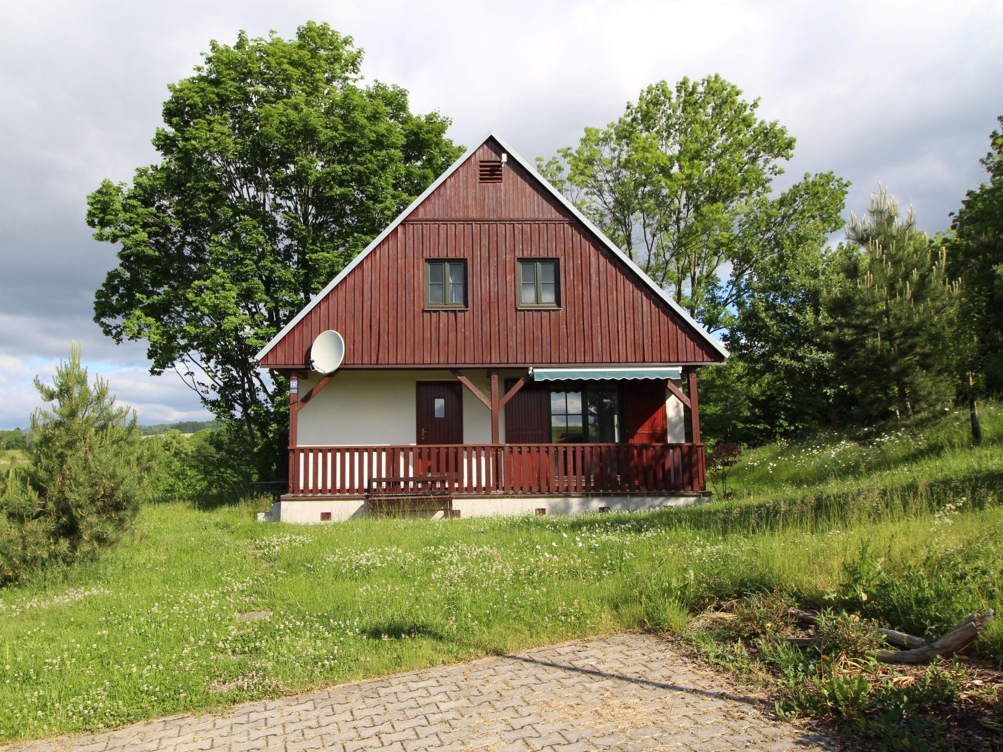 Foto 45 - Haus mit 3 Schlafzimmern in Černý Důl mit schwimmbad und garten