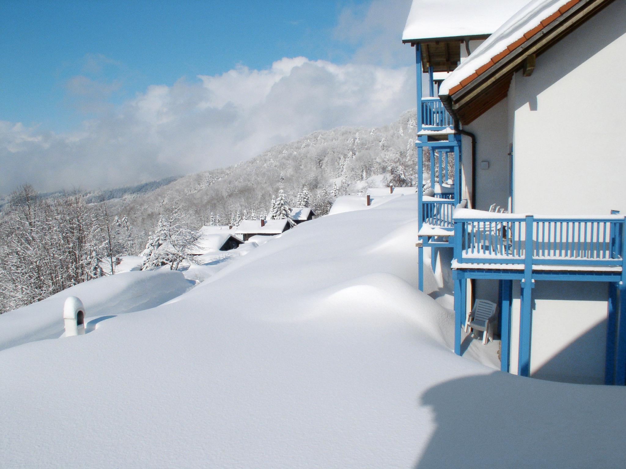 Photo 23 - Appartement de 1 chambre à Schöfweg avec jardin et vues sur la montagne