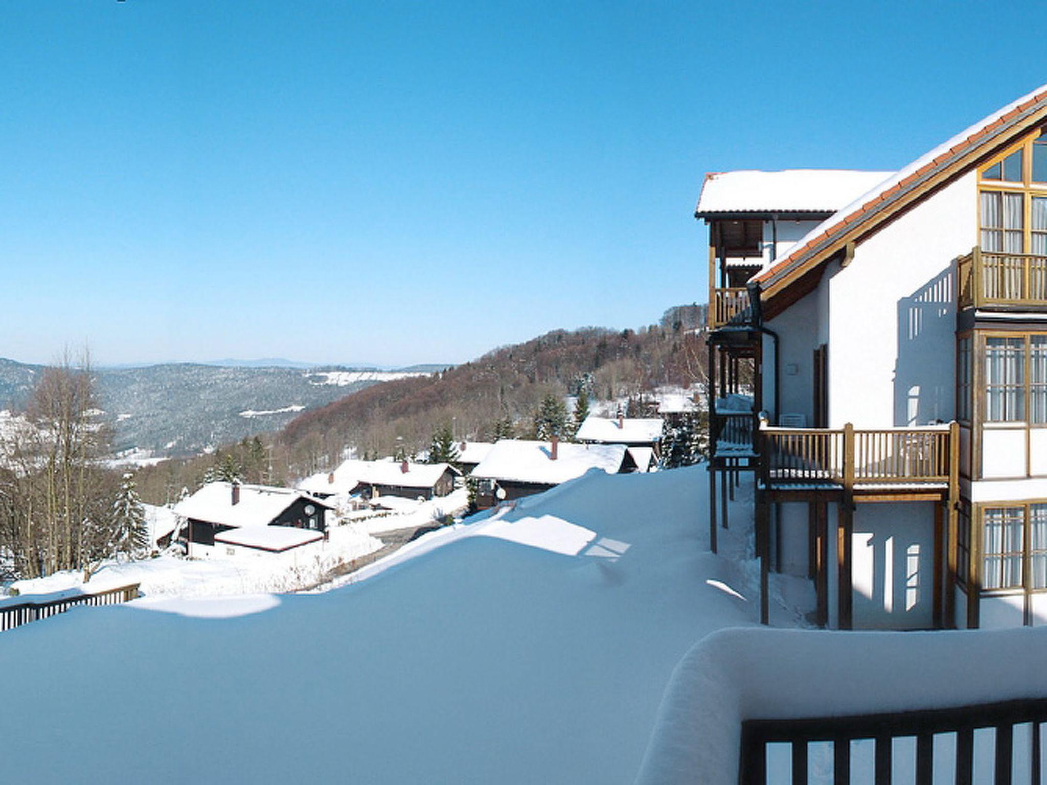 Photo 21 - Appartement de 1 chambre à Schöfweg avec jardin et vues sur la montagne