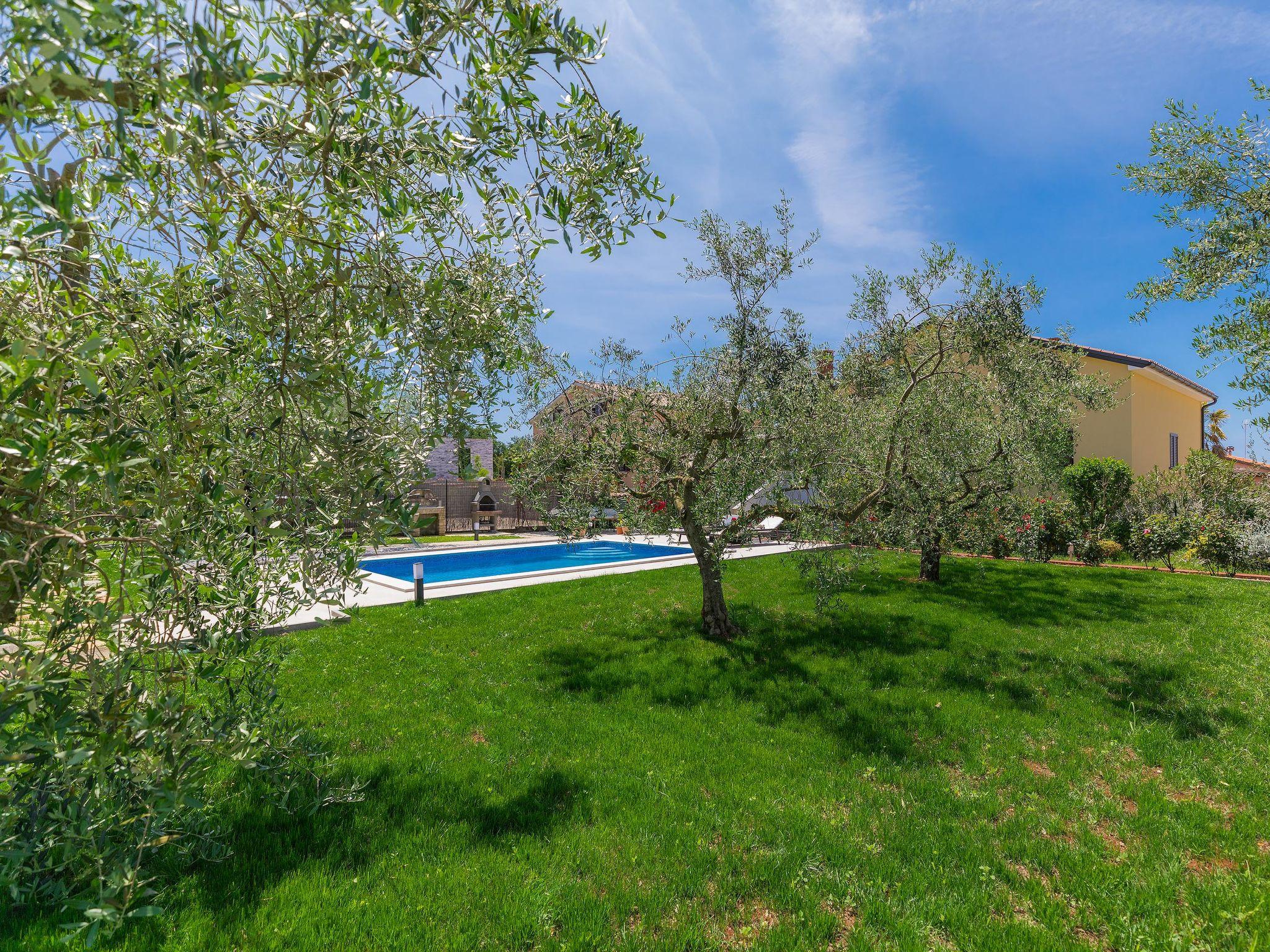 Photo 34 - Appartement de 2 chambres à Novigrad avec piscine privée et jardin