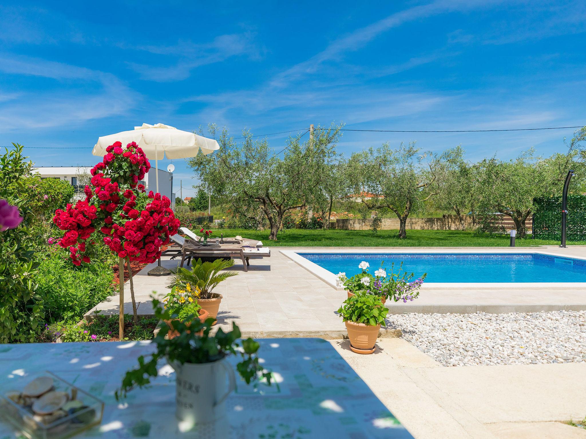 Photo 20 - Appartement de 2 chambres à Novigrad avec piscine privée et jardin