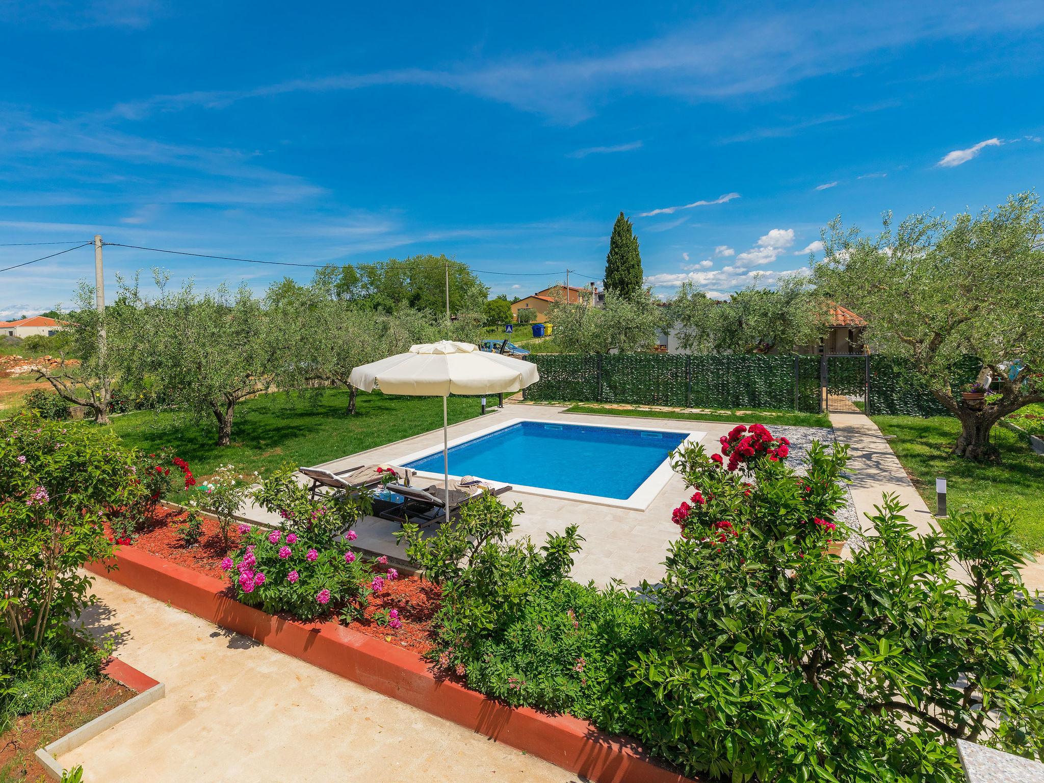 Photo 5 - Appartement de 2 chambres à Novigrad avec piscine privée et jardin