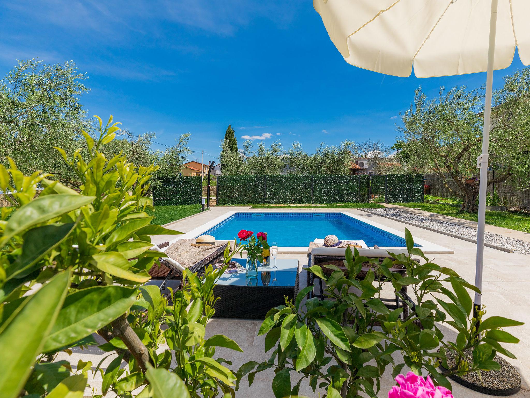 Photo 6 - Appartement de 2 chambres à Novigrad avec piscine privée et jardin