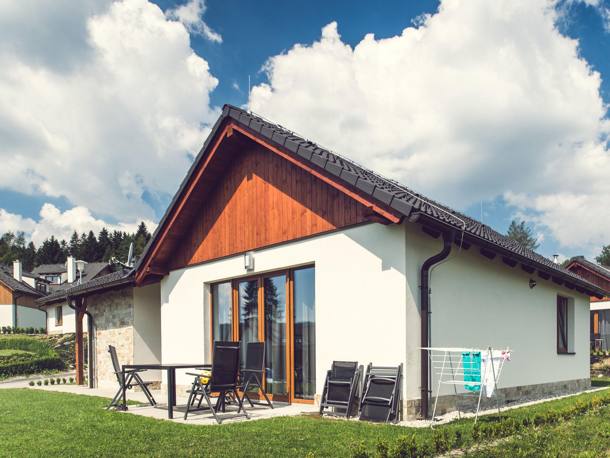 Foto 9 - Casa de 3 quartos em Lipno nad Vltavou com jardim e vista para a montanha