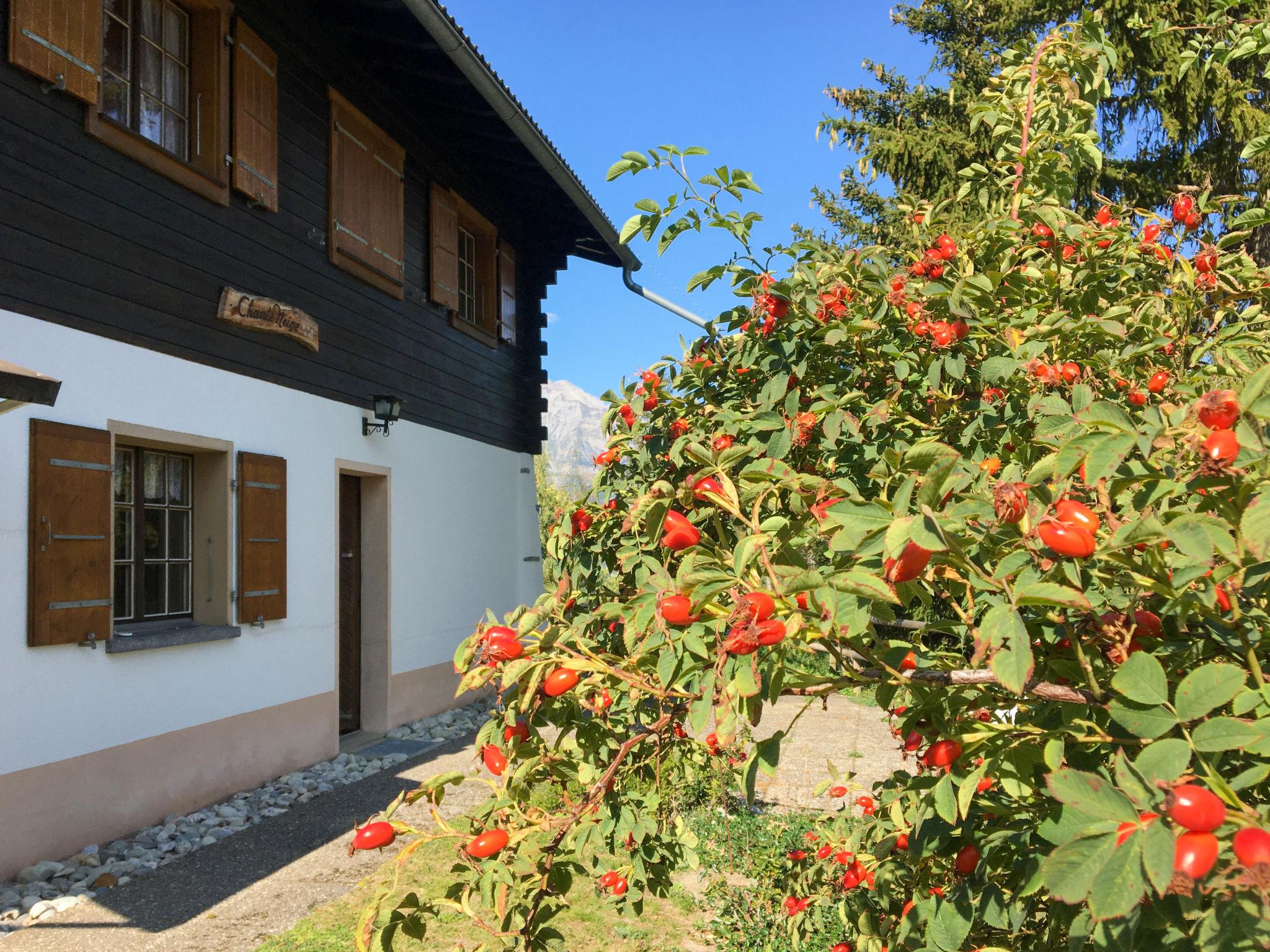 Photo 7 - Maison de 3 chambres à Riddes avec jardin et vues sur la montagne