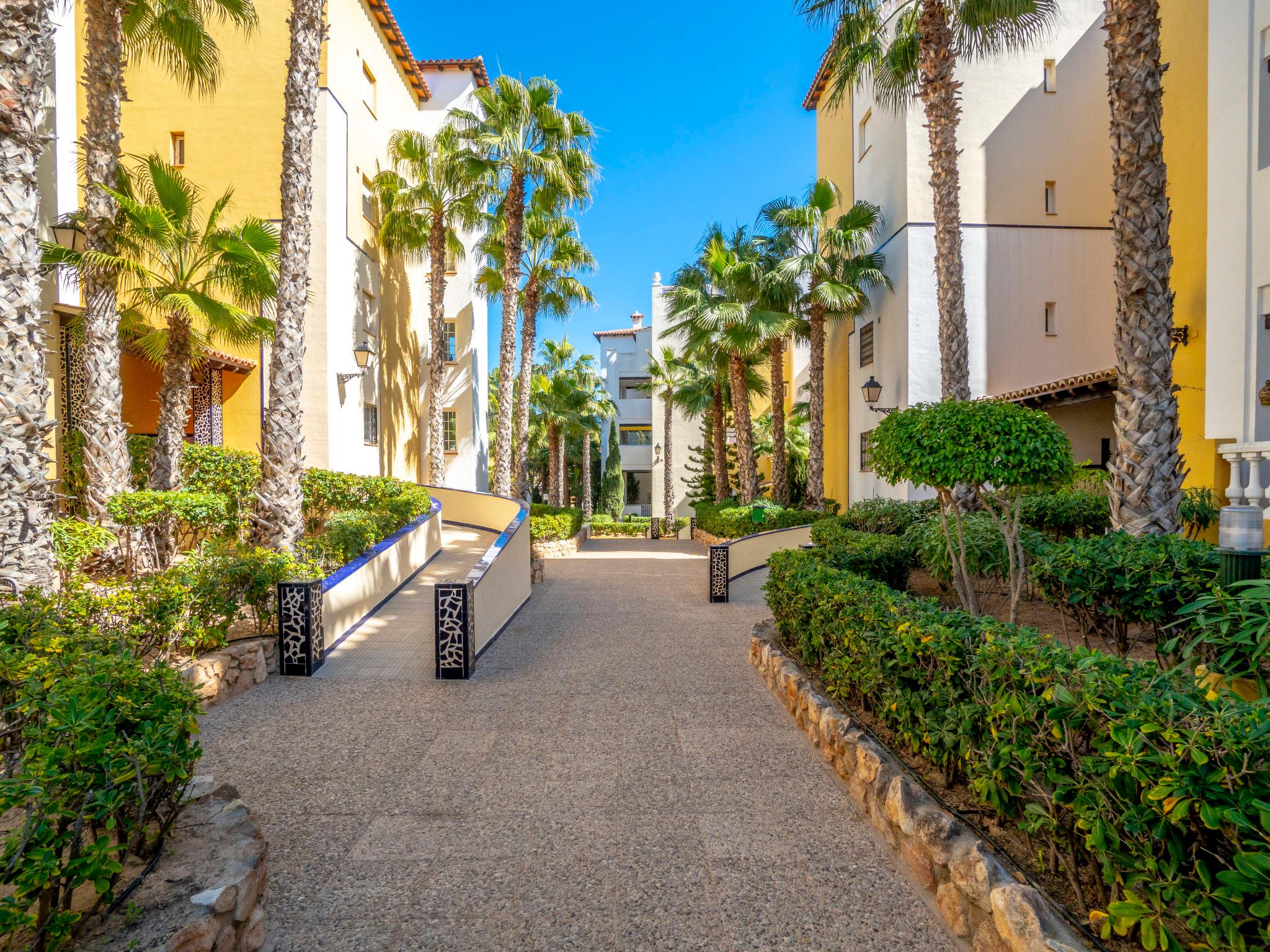 Photo 17 - Appartement de 2 chambres à Torrevieja avec jardin et terrasse