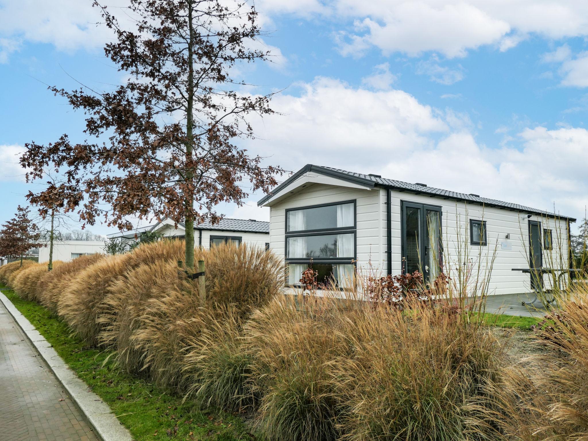 Foto 3 - Casa con 2 camere da letto a Nunspeet con piscina e terrazza