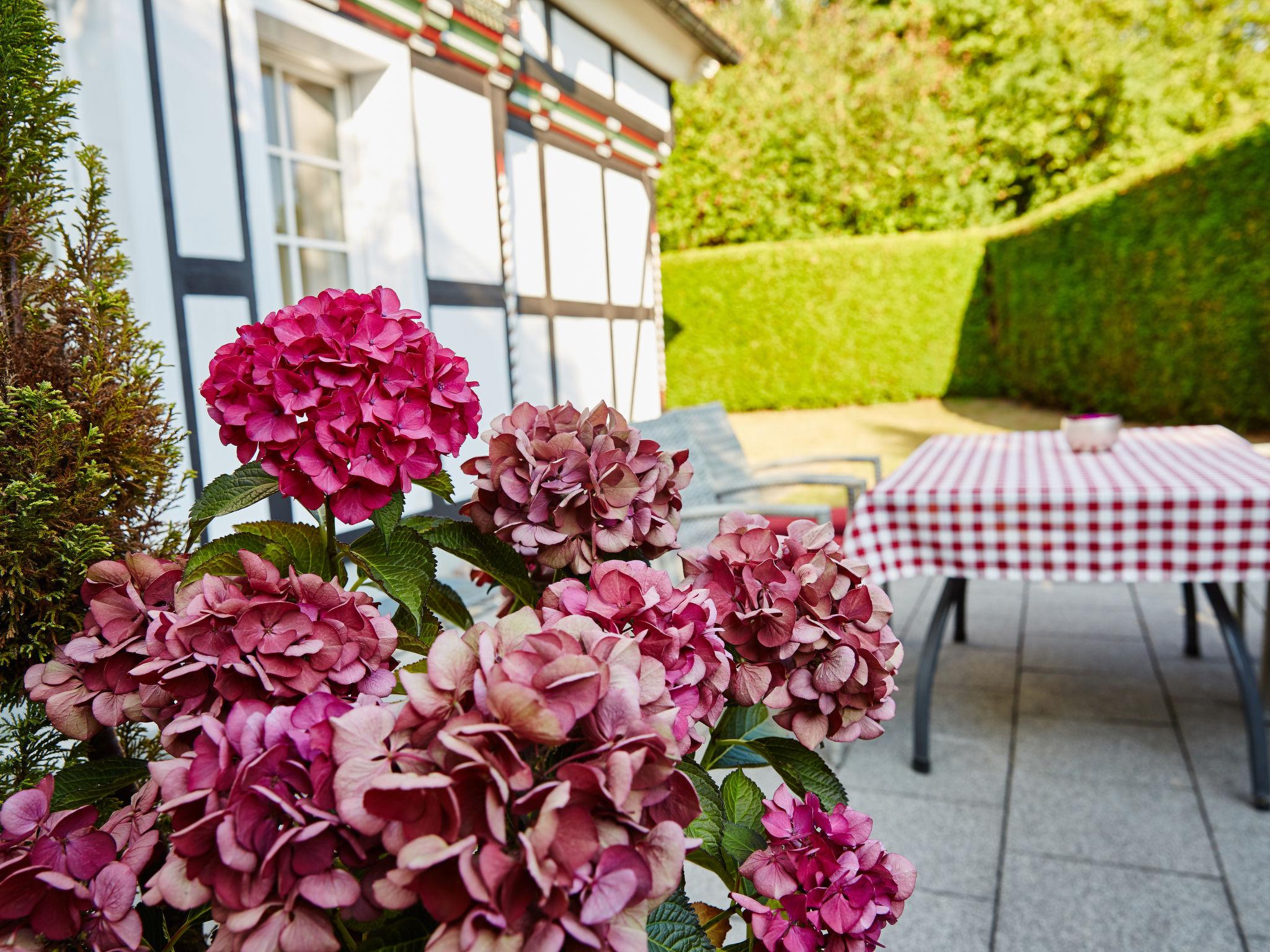 Photo 22 - Maison de 3 chambres à Attendorn avec jardin et terrasse