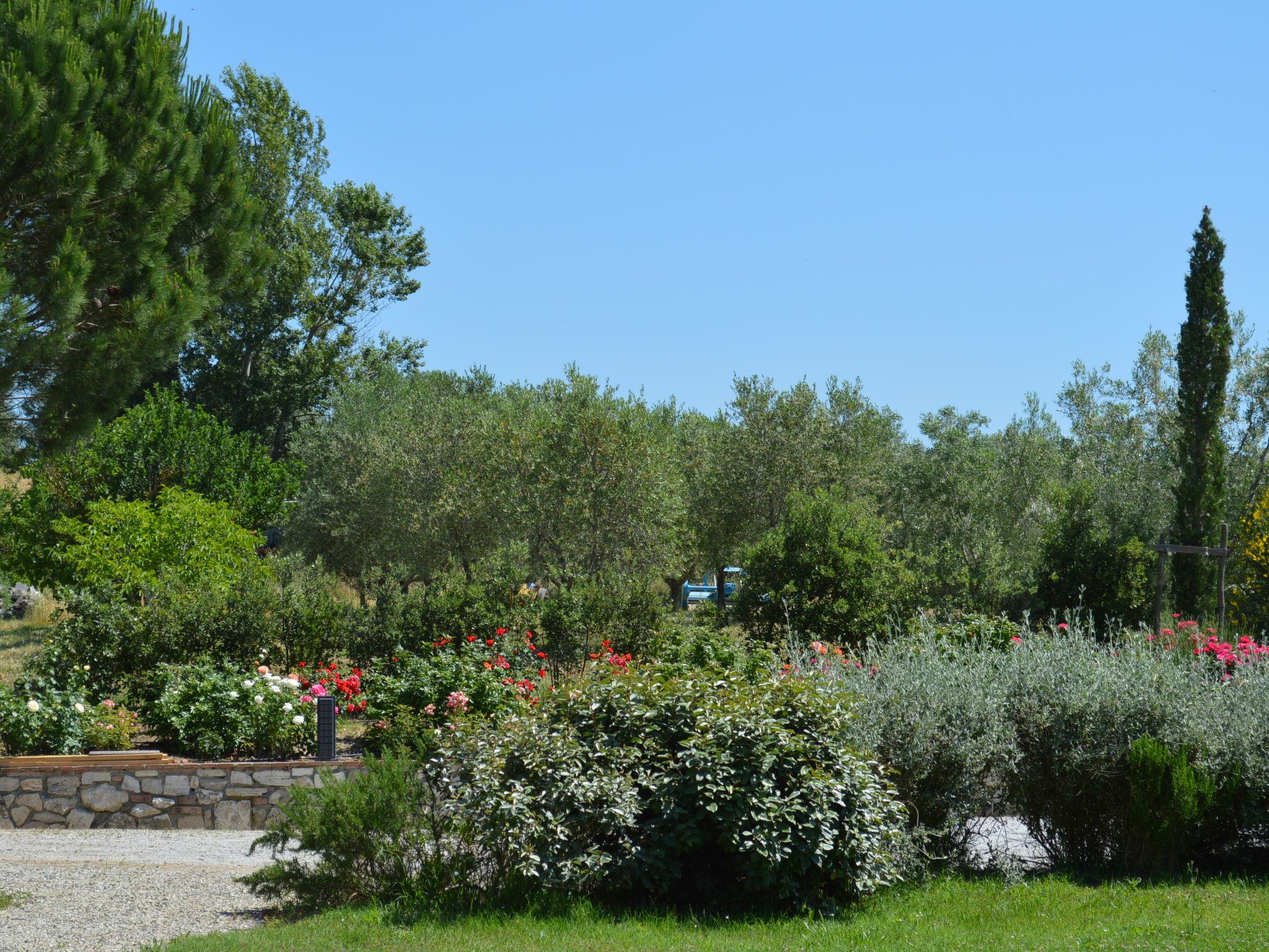 Foto 30 - Appartamento con 3 camere da letto a Asciano con piscina e giardino