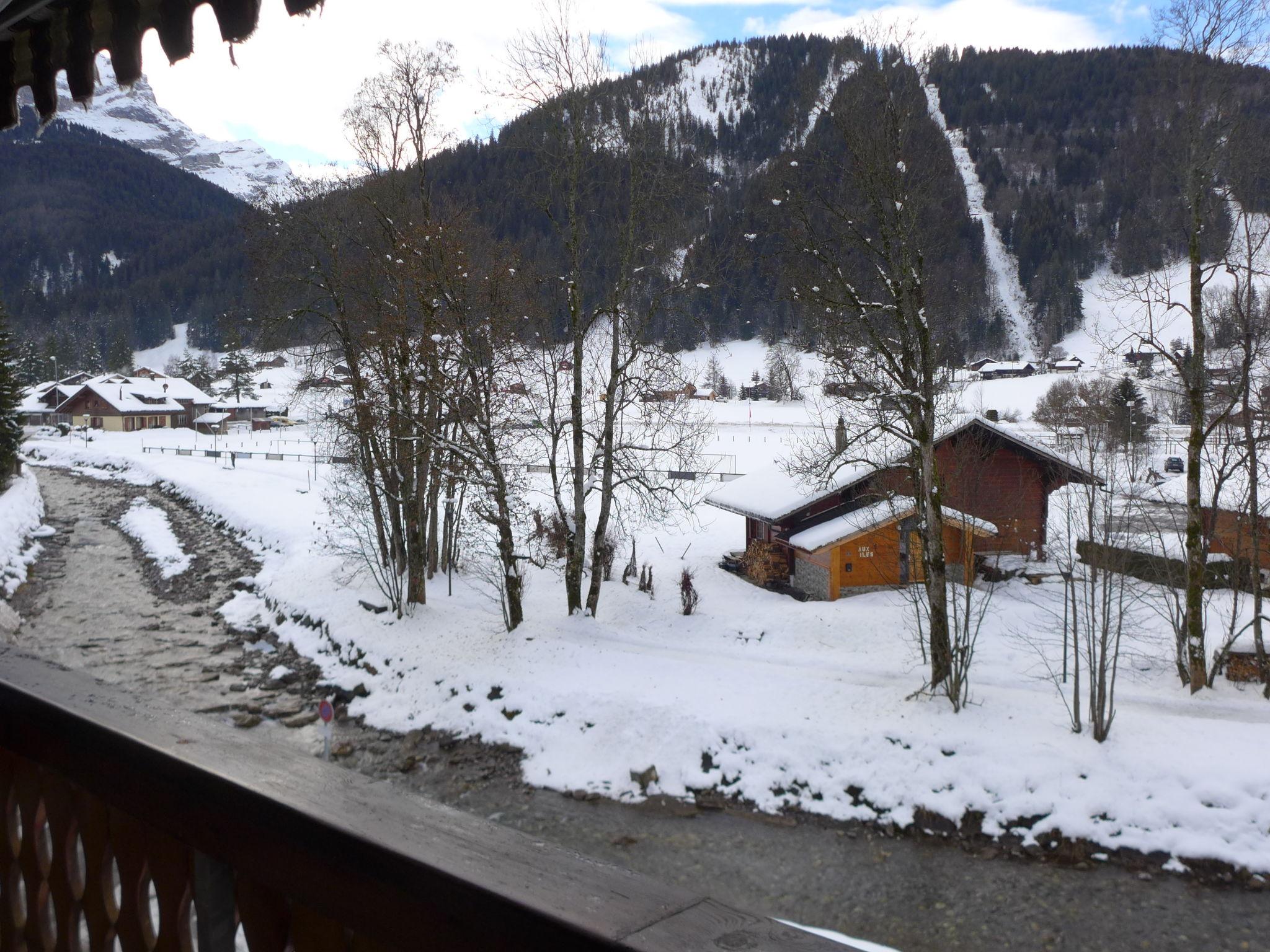 Photo 15 - 2 bedroom Apartment in Ormont-Dessus with mountain view