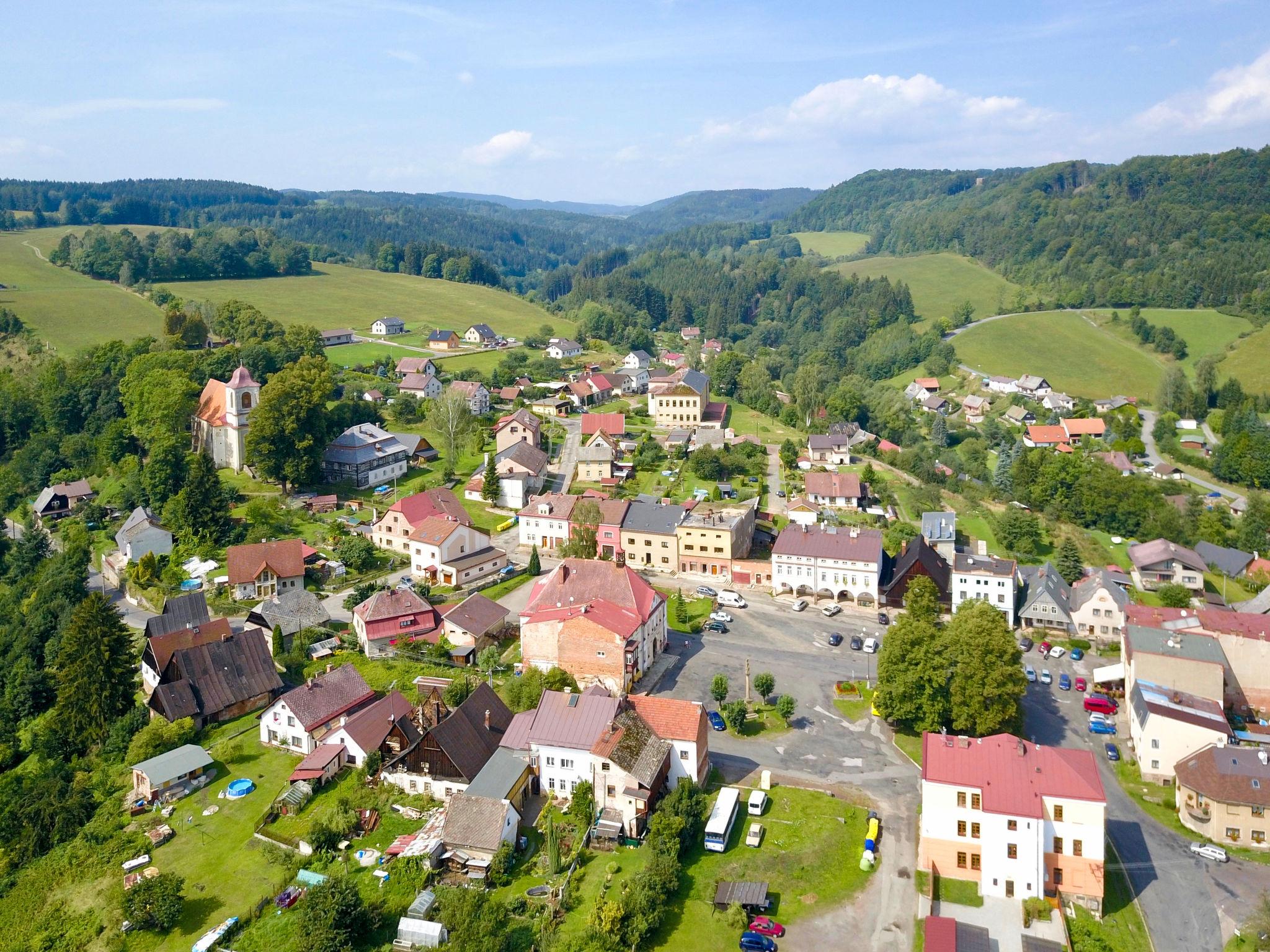 Foto 47 - Haus mit 3 Schlafzimmern in Stárkov mit schwimmbad und garten