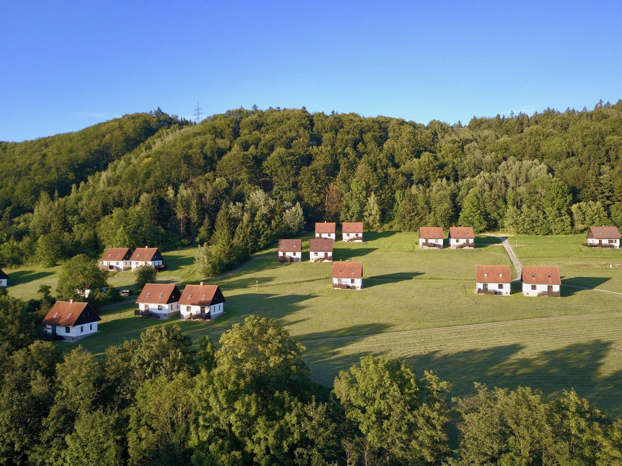 Foto 30 - Haus mit 3 Schlafzimmern in Stárkov mit schwimmbad und garten