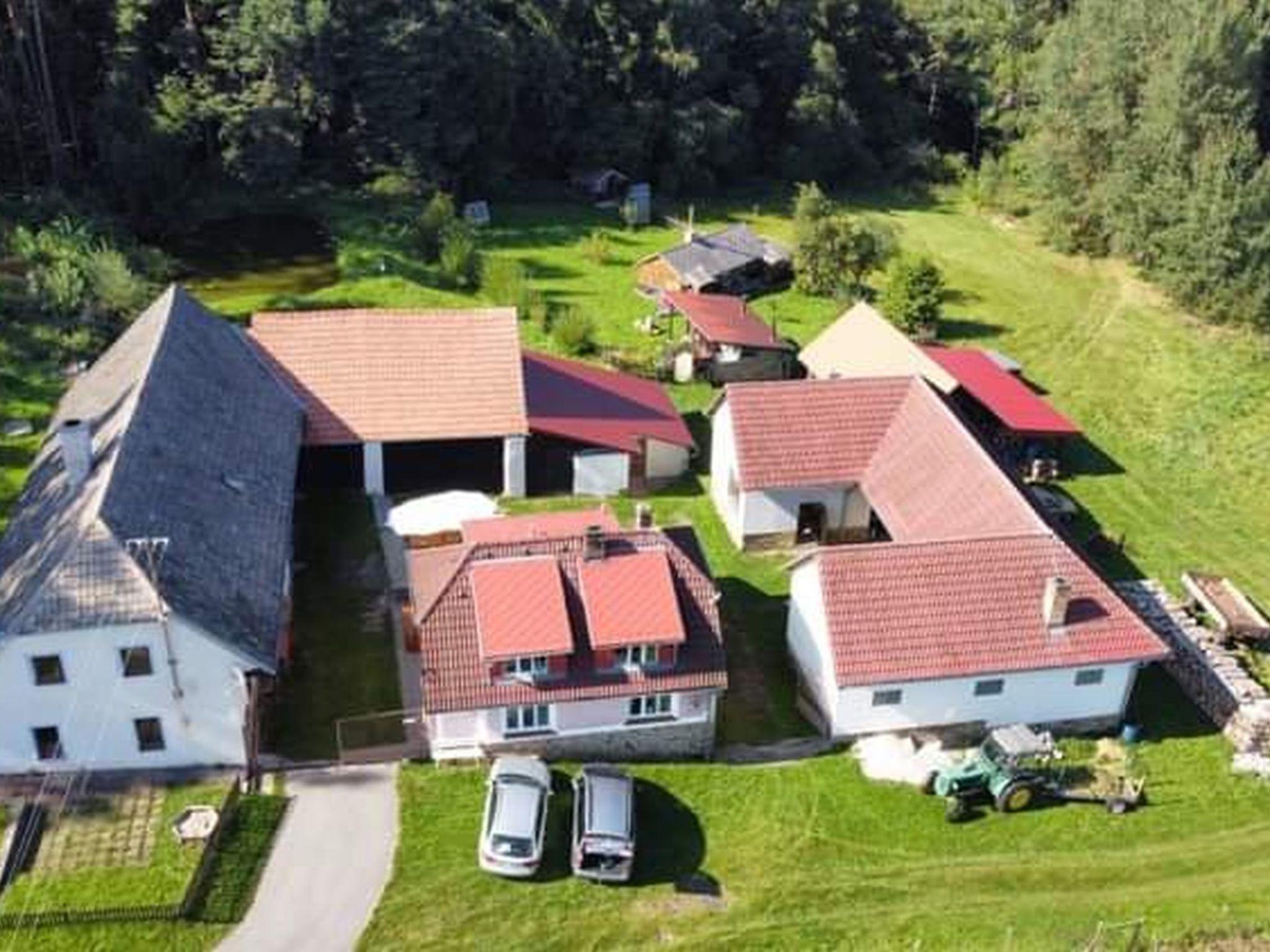 Photo 31 - Maison de 3 chambres à Nebahovy avec piscine privée et jardin