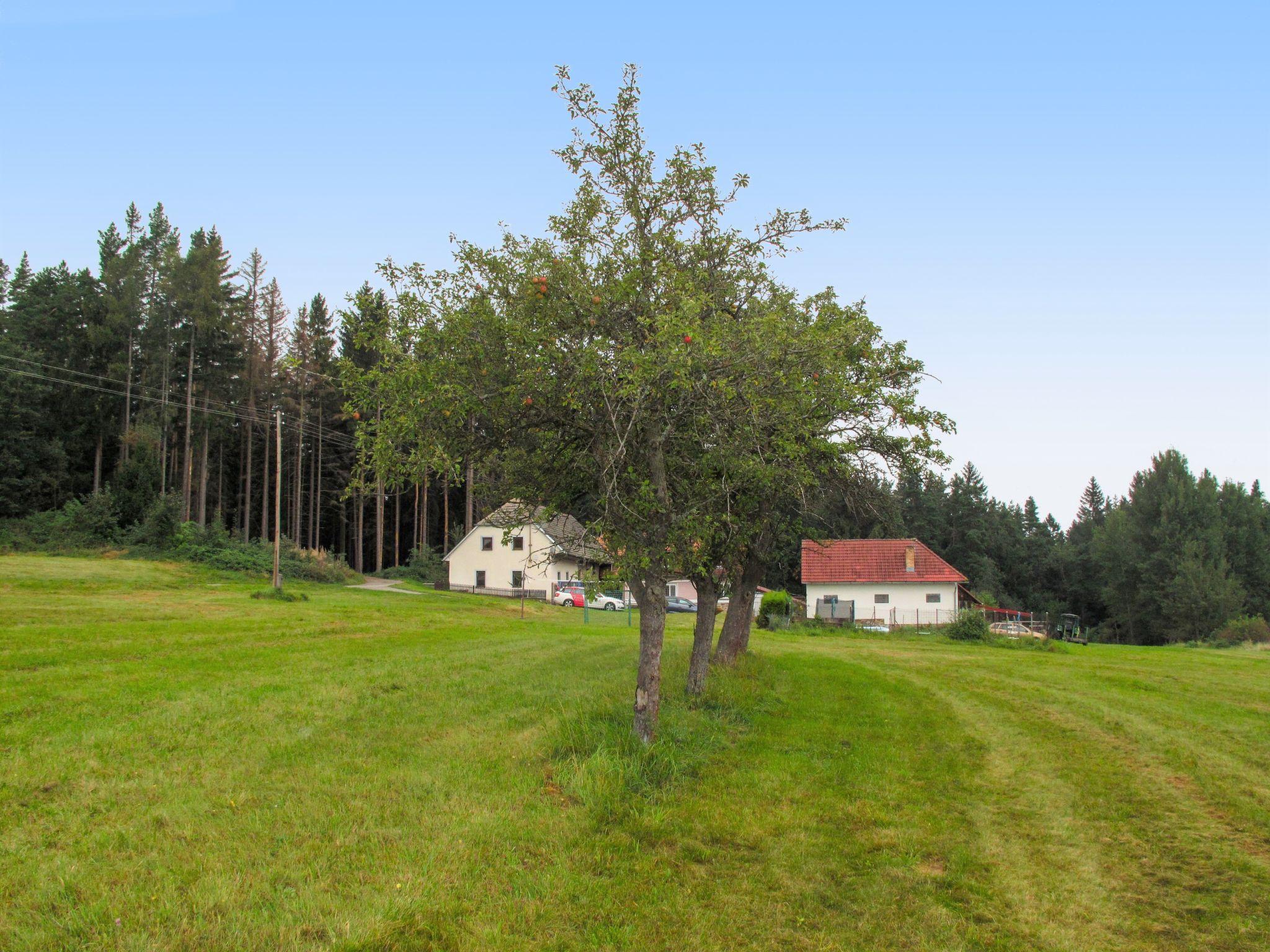 Photo 28 - Maison de 3 chambres à Nebahovy avec piscine privée et jardin