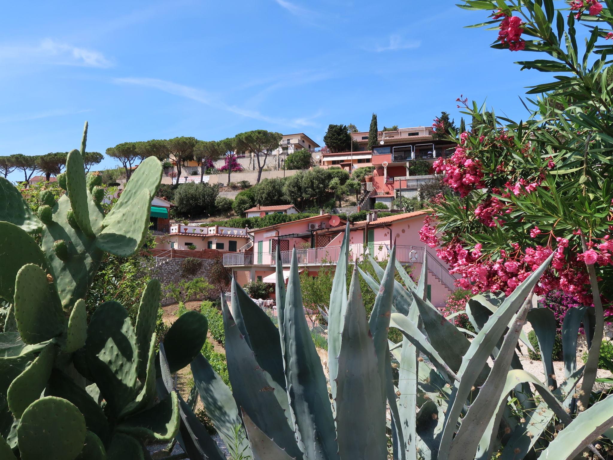 Photo 28 - 1 bedroom Apartment in Capoliveri with terrace and sea view