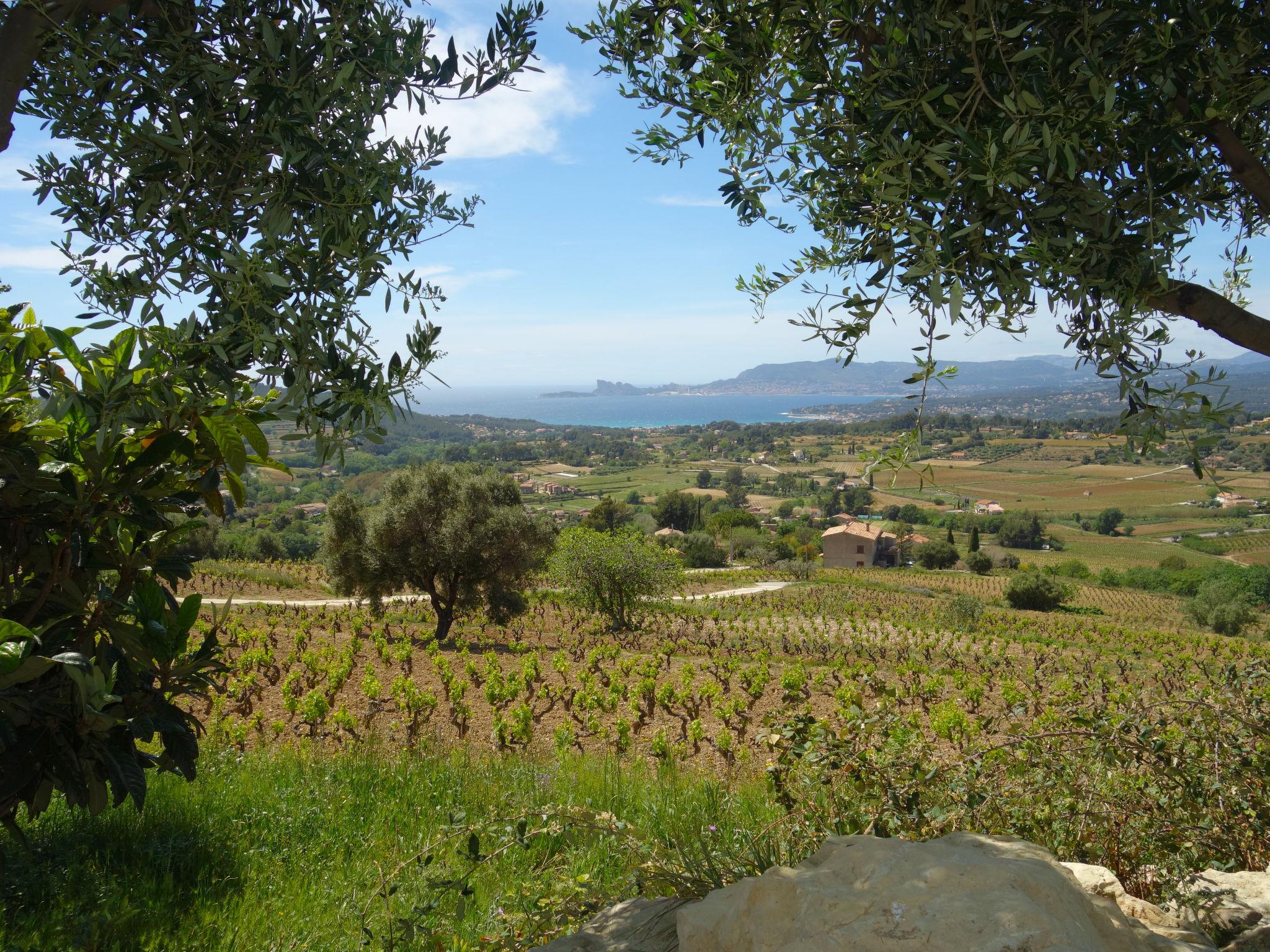 Photo 5 - Maison de 2 chambres à La Cadière-d'Azur avec jardin et vues à la mer