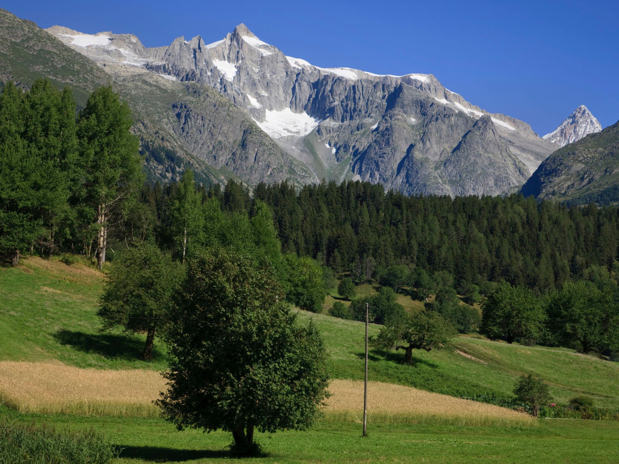 Foto 50 - Appartamento a Ernen con vista sulle montagne