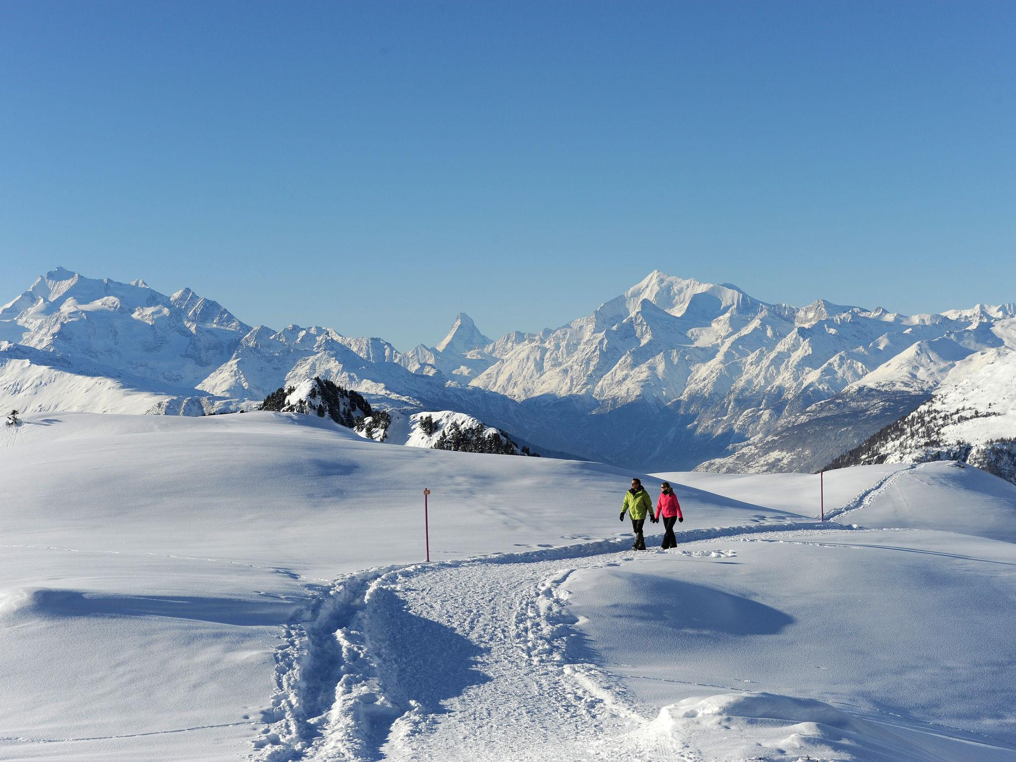 Foto 45 - Appartamento con 2 camere da letto a Ernen con vista sulle montagne