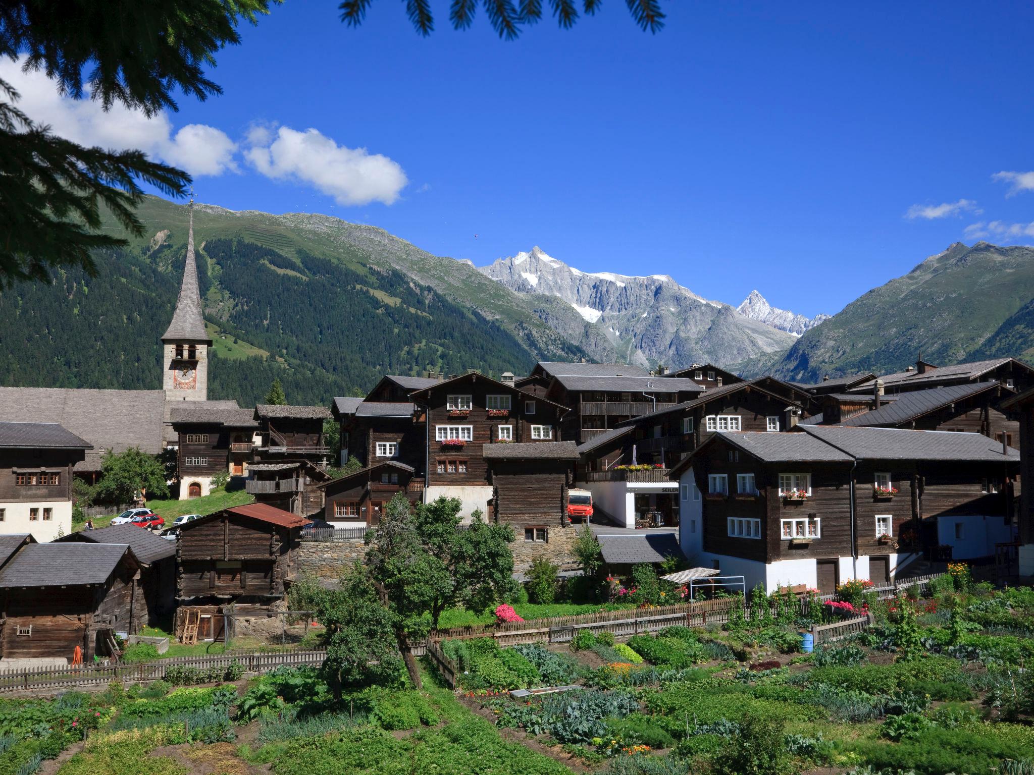 Photo 56 - Appartement en Ernen avec vues sur la montagne