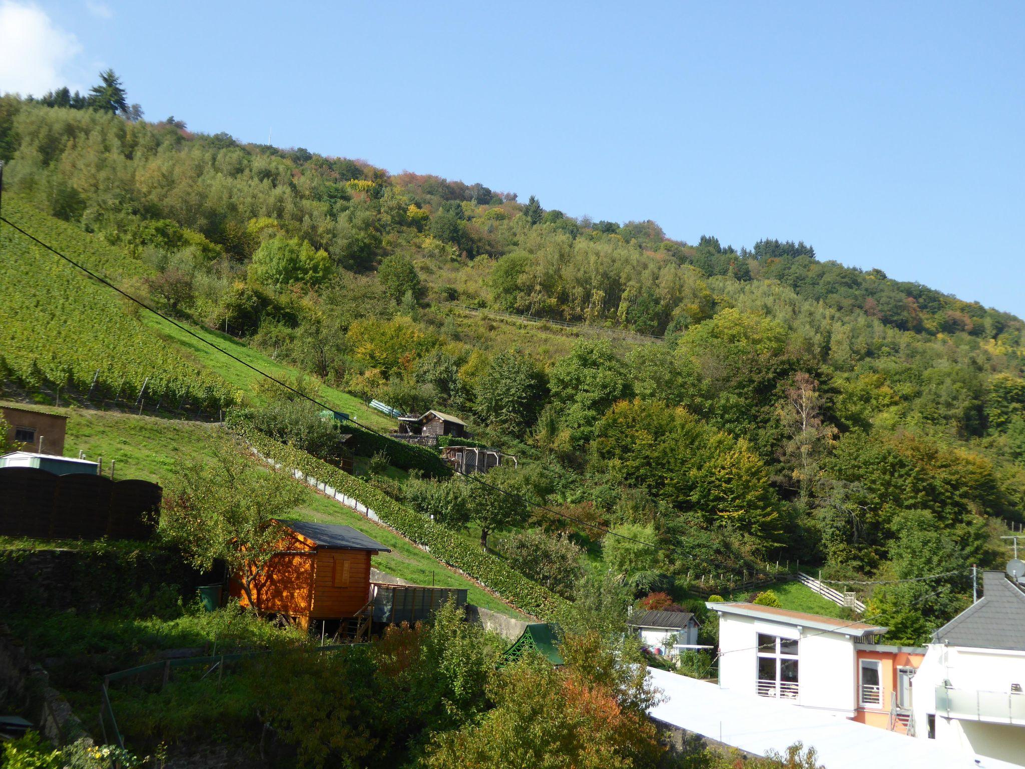 Foto 5 - Apartamento de 2 quartos em Traben-Trarbach