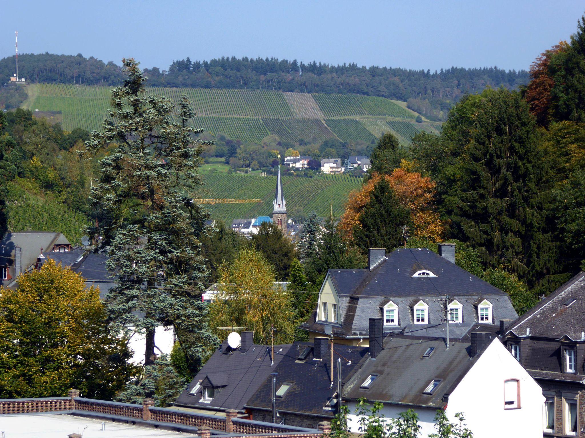 Photo 20 - 2 bedroom Apartment in Traben-Trarbach