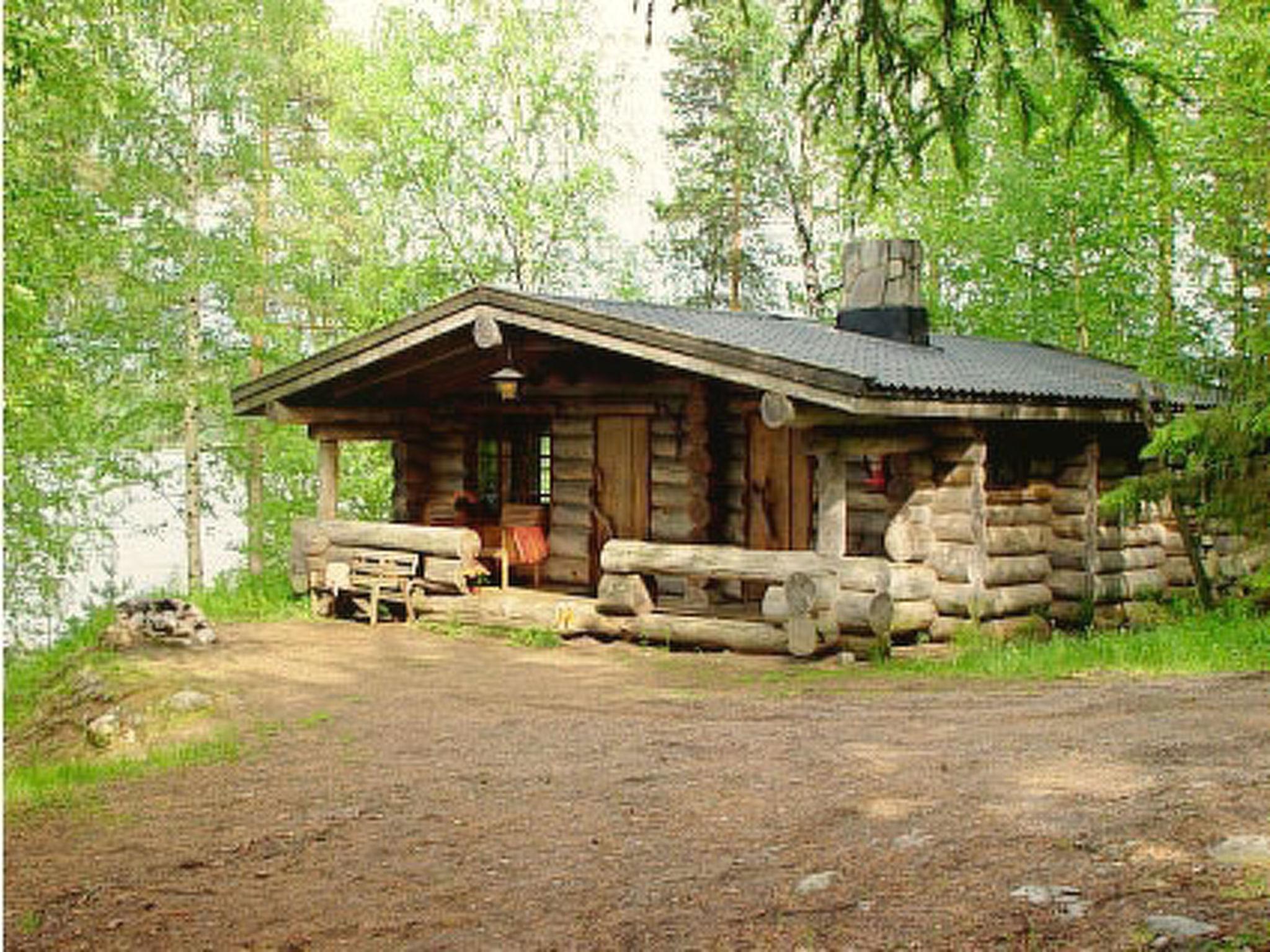 Foto 1 - Haus mit 1 Schlafzimmer in Asikkala mit sauna
