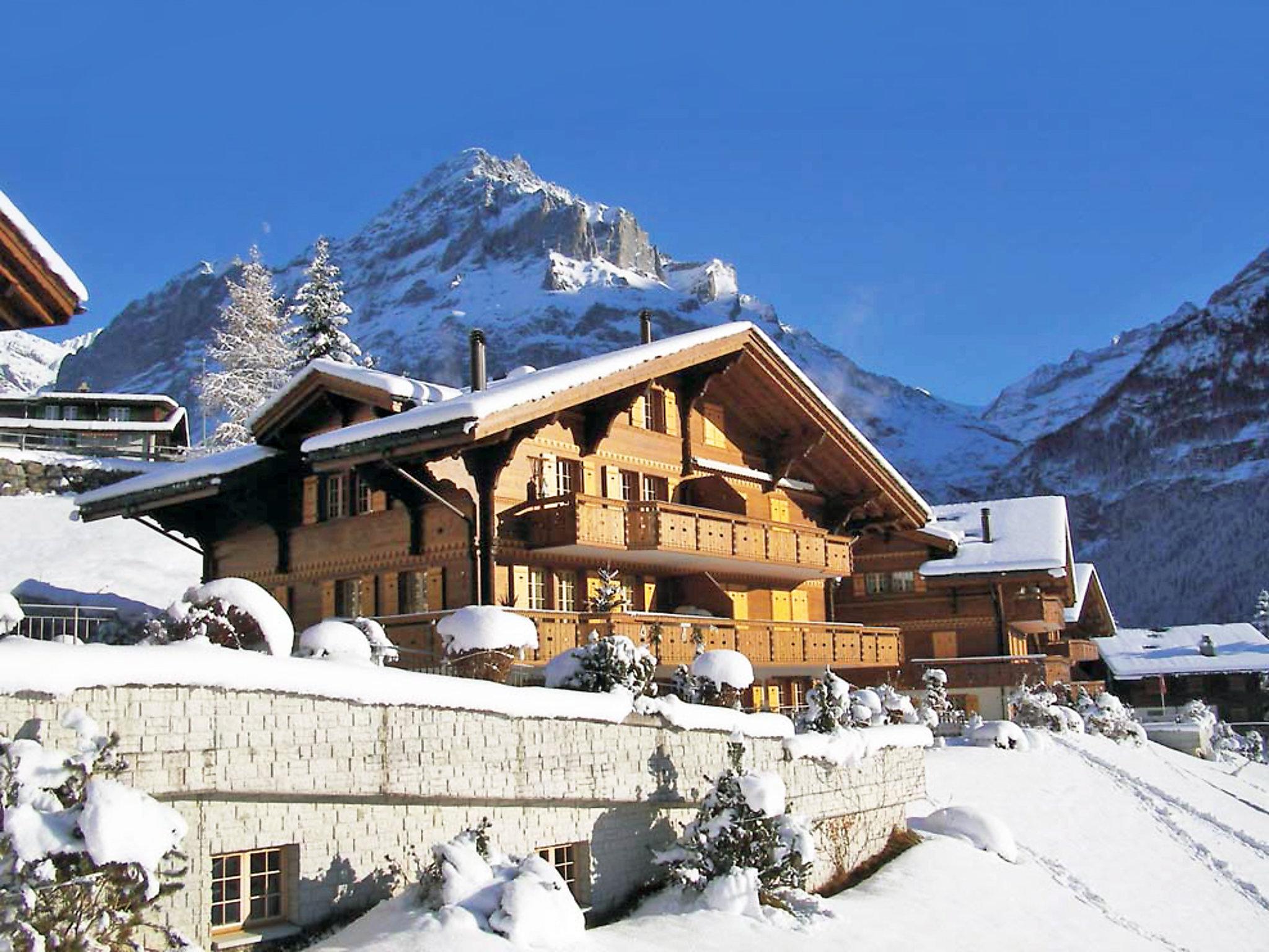 Foto 20 - Apartamento de 2 quartos em Grindelwald