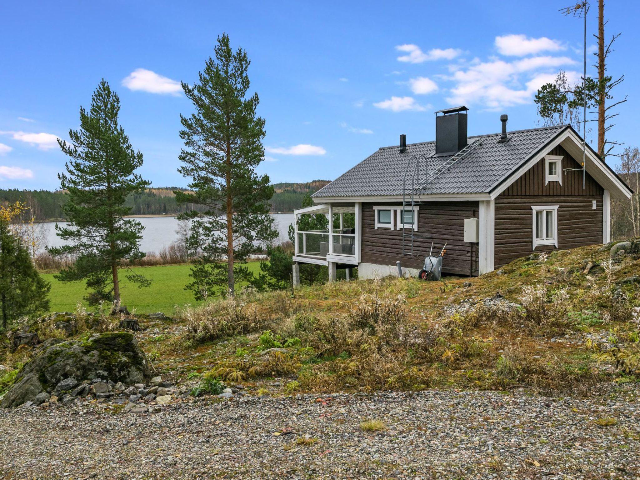 Foto 2 - Haus mit 1 Schlafzimmer in Heinävesi mit sauna