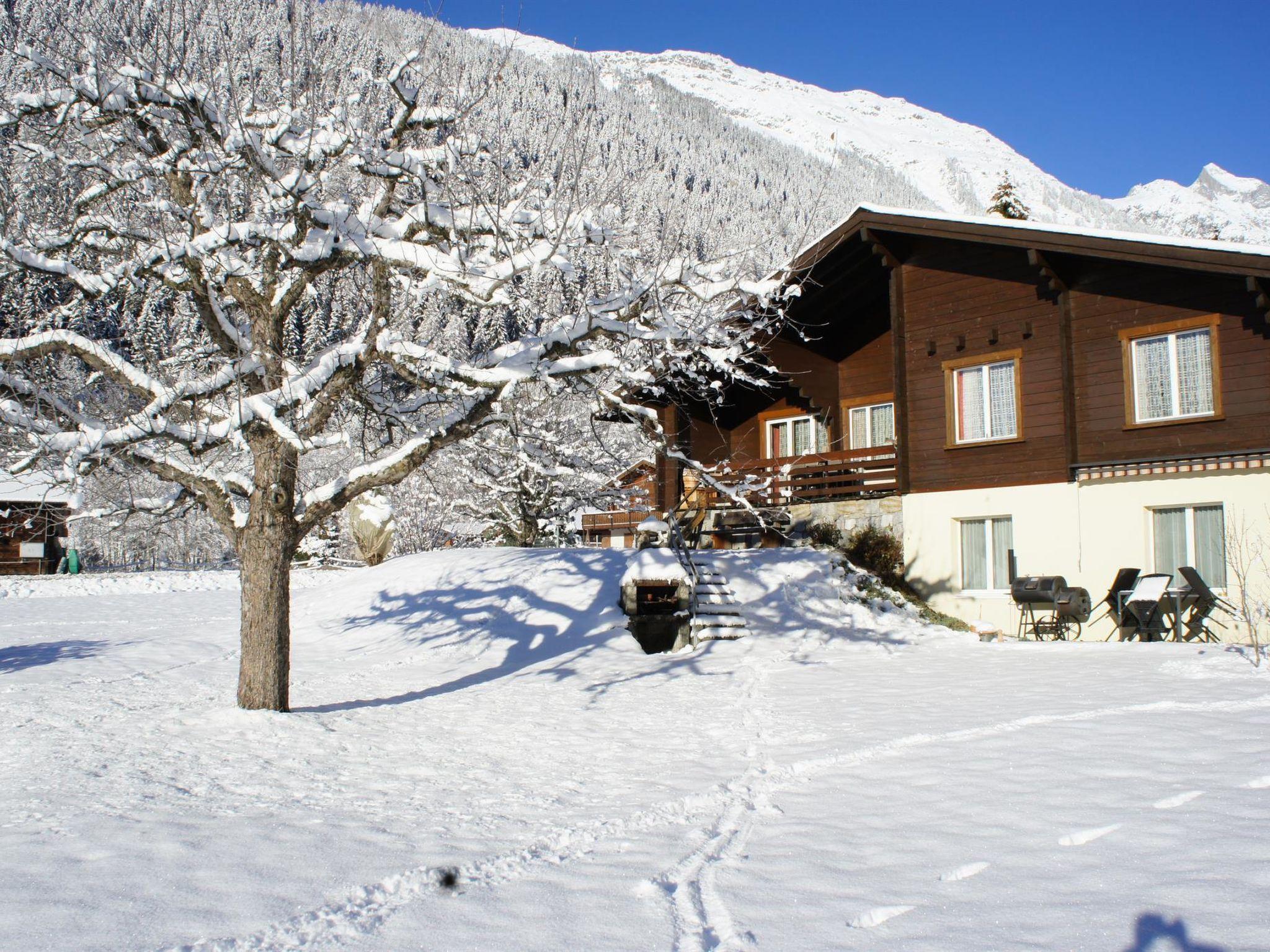 Foto 5 - Apartment mit 1 Schlafzimmer in Fieschertal