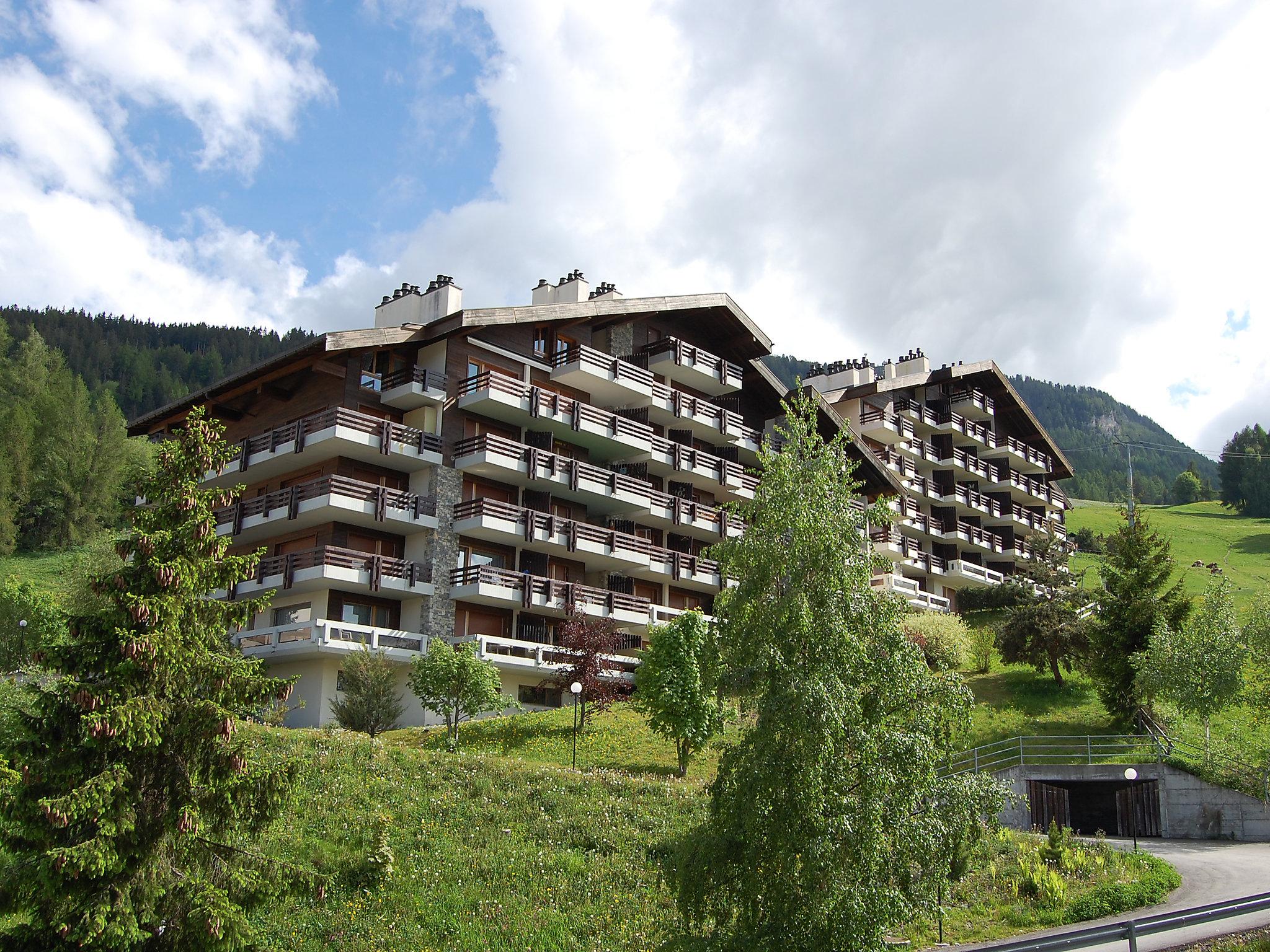 Foto 1 - Apartment mit 1 Schlafzimmer in Nendaz mit blick auf die berge