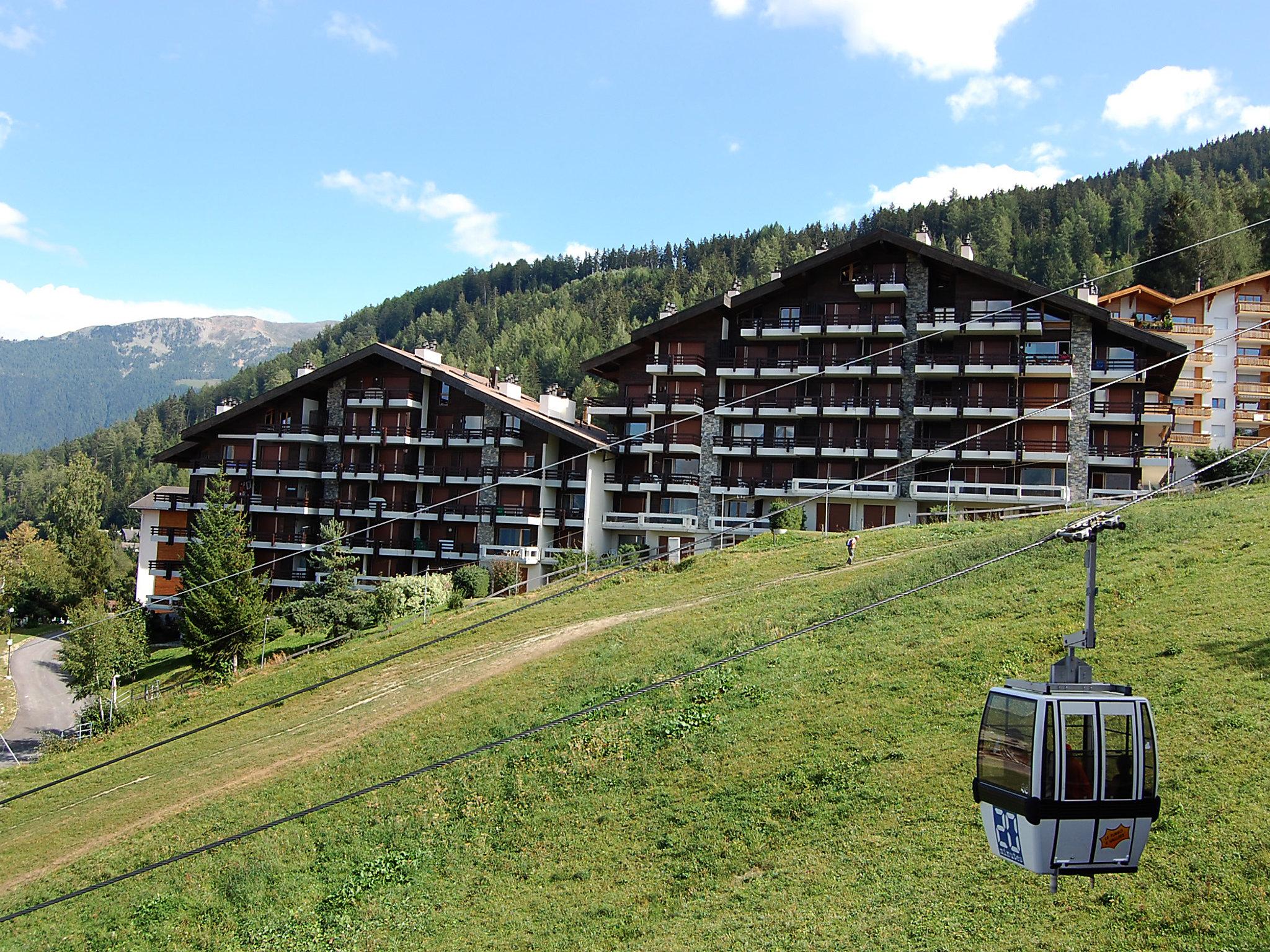 Foto 5 - Appartamento con 2 camere da letto a Nendaz con vista sulle montagne